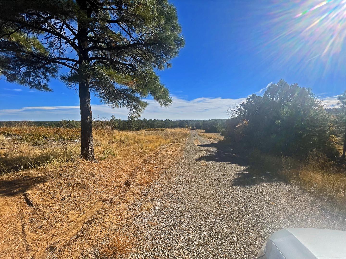 30 Verga Drive, Tijeras, New Mexico image 35