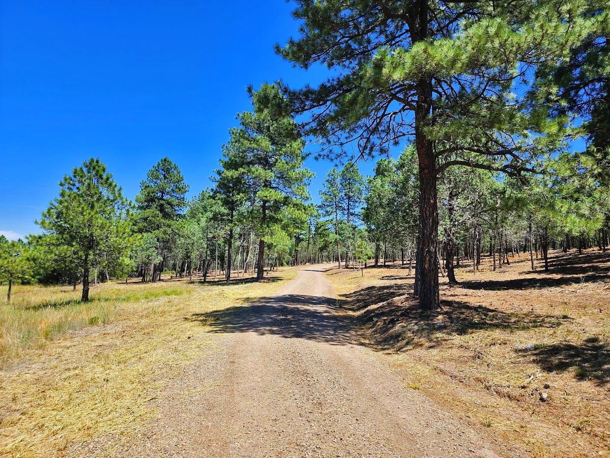 30 Verga Drive, Tijeras, New Mexico image 17