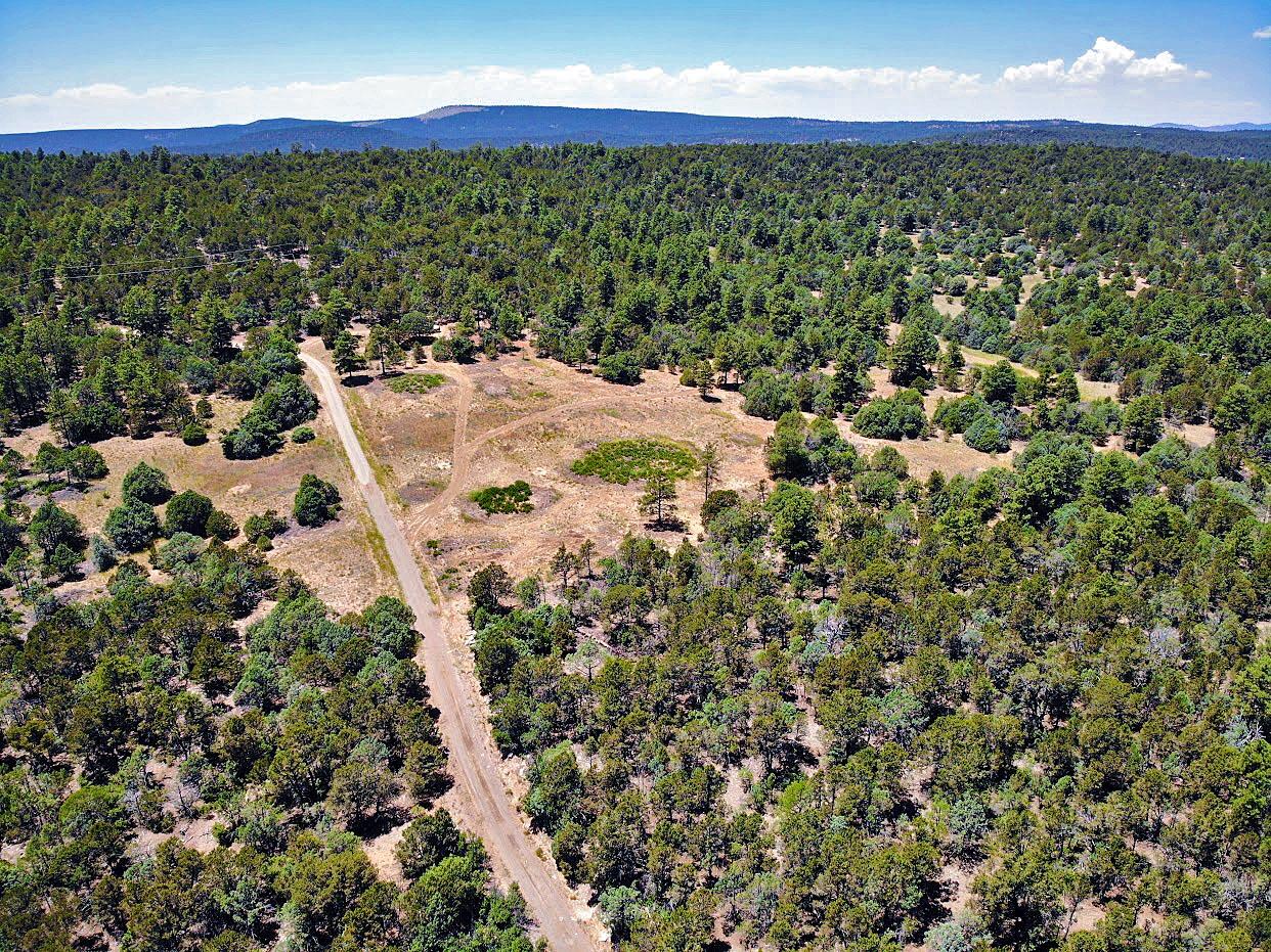 30 Verga Drive, Tijeras, New Mexico image 15