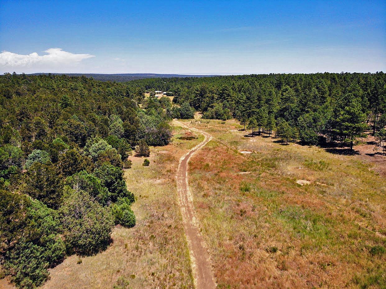 30 Verga Drive, Tijeras, New Mexico image 14