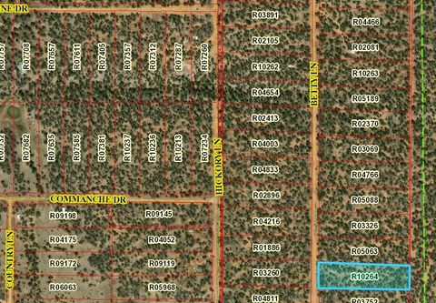 Vacant Land For Sale - LOT 618 Betty Lane<br/> Ramah, NM 87321