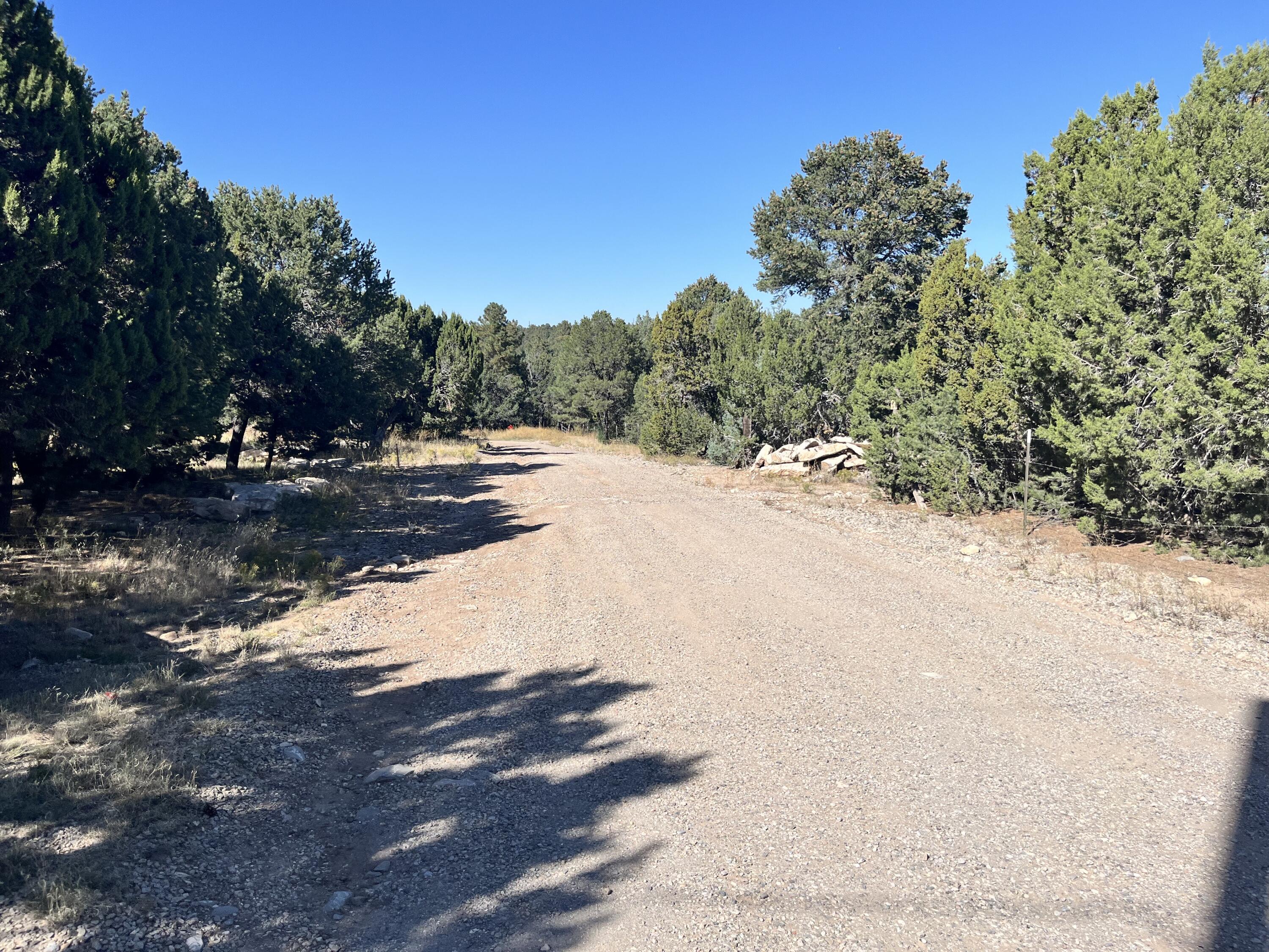 6 Camino Flora Ct, Tijeras, New Mexico image 4