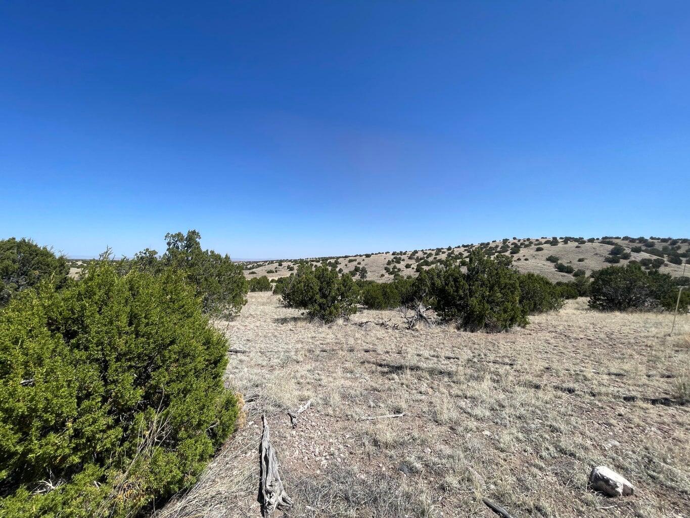 Lot 55 Pinon Springs Ranch, Magdalena, New Mexico image 15