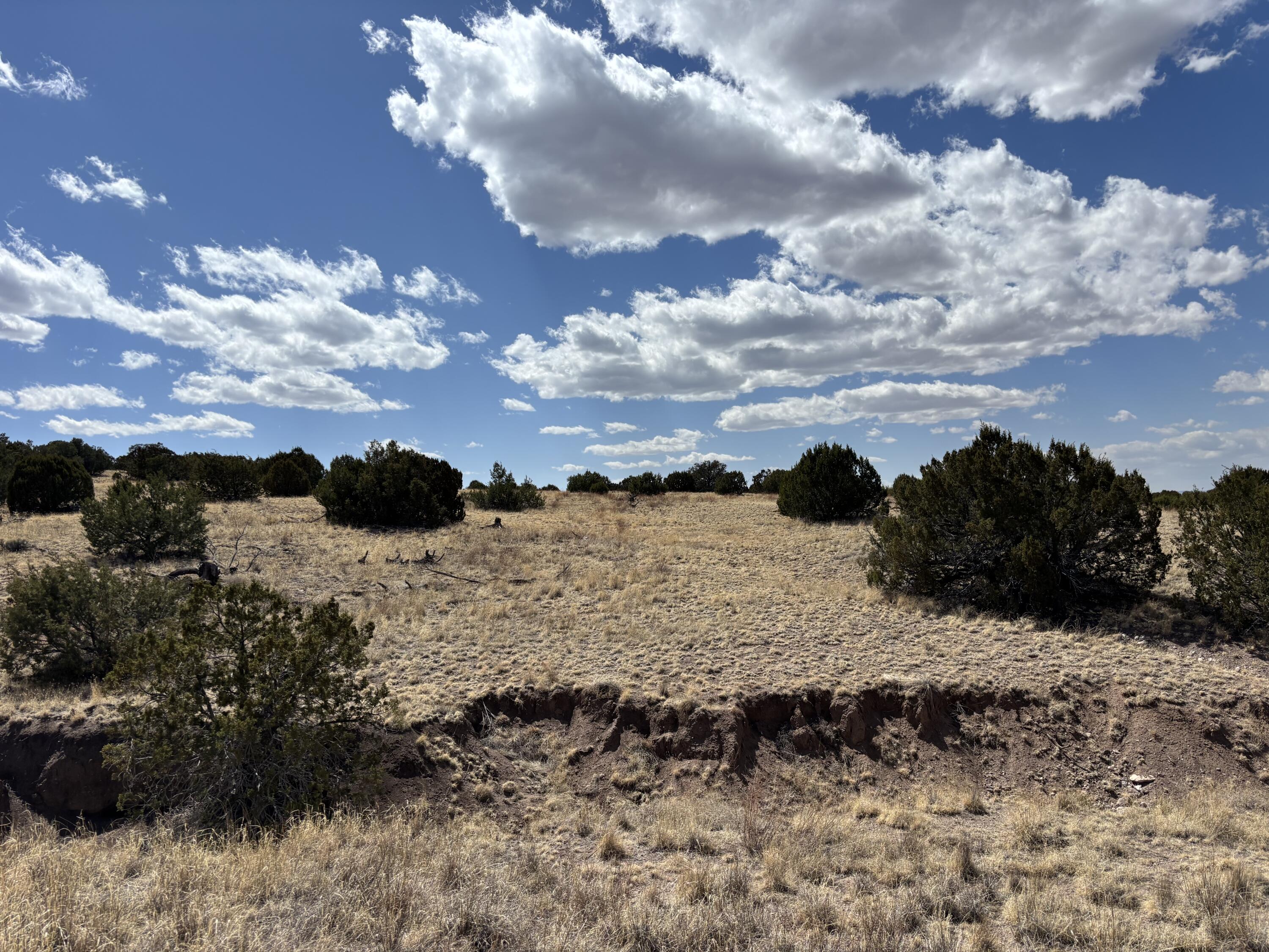 Lot 55 Pinon Springs Ranch, Magdalena, New Mexico image 5
