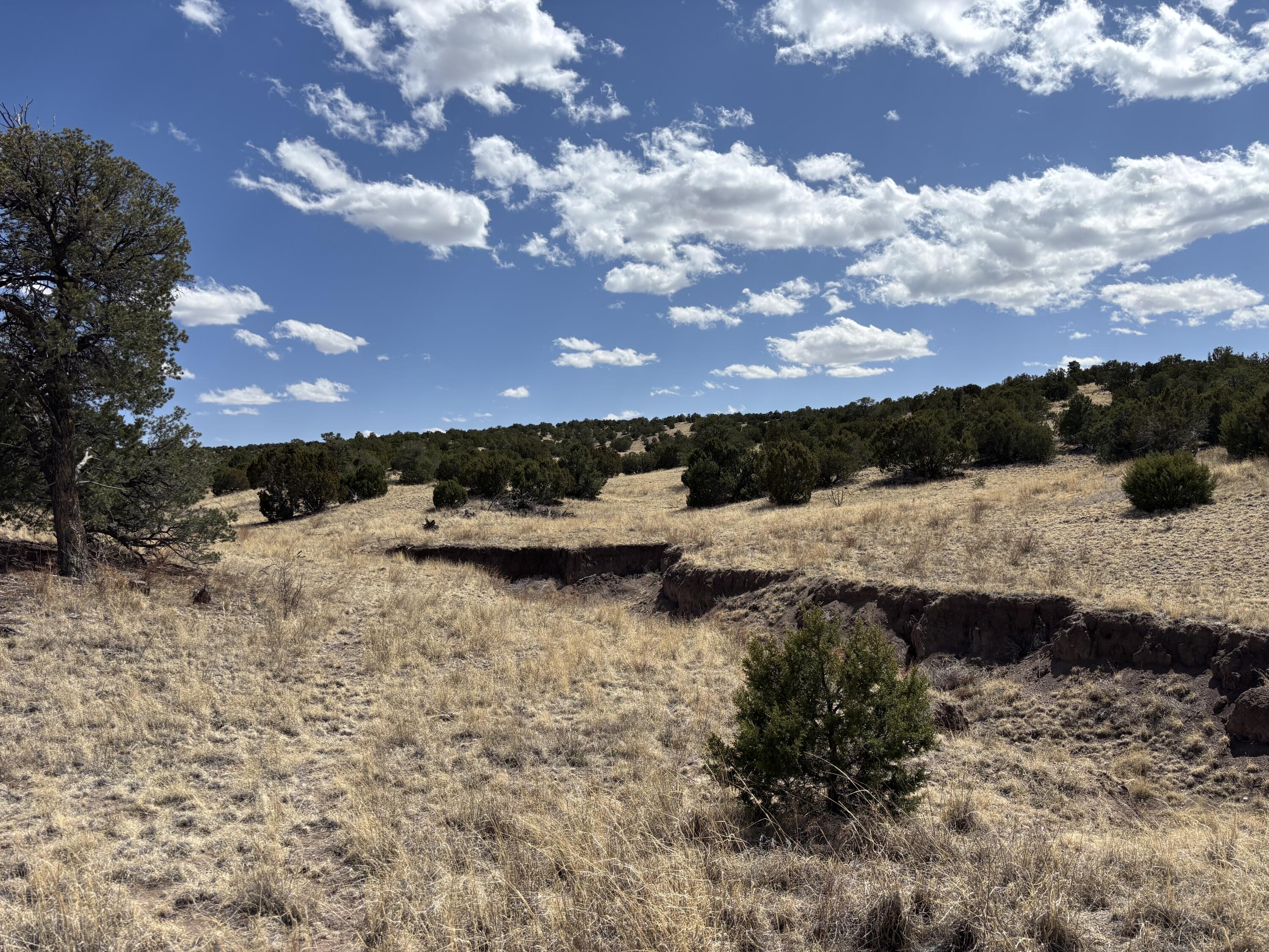 Lot 55 Pinon Springs Ranch, Magdalena, New Mexico image 7