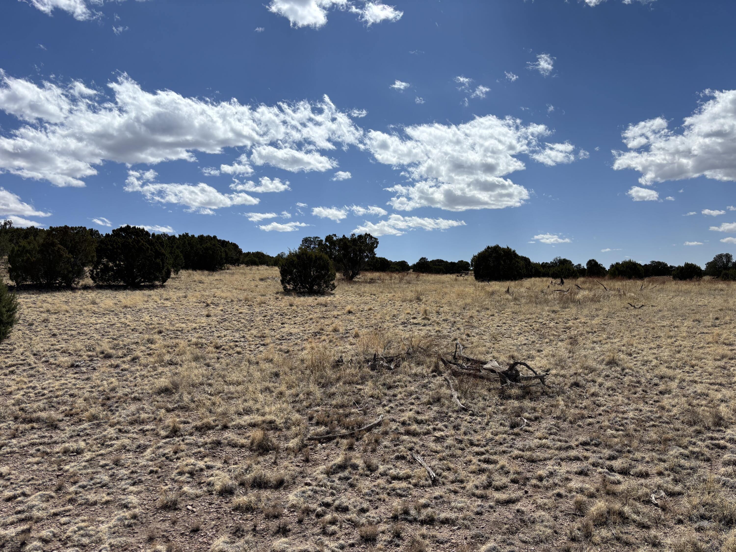 Lot 55 Pinon Springs Ranch, Magdalena, New Mexico image 10