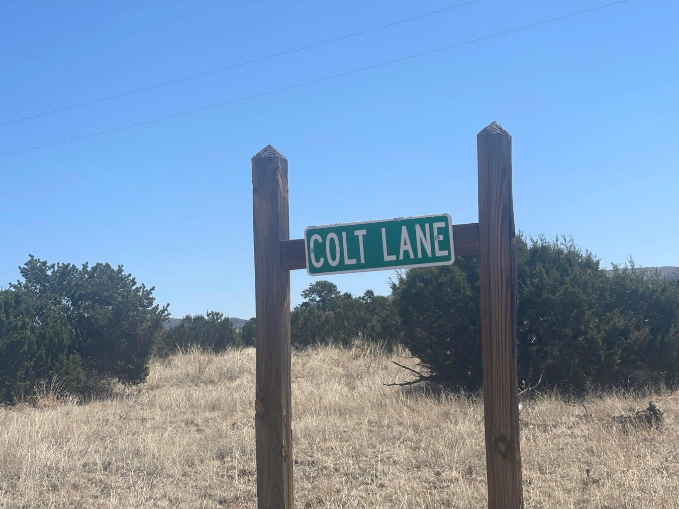 Lot 55 Pinon Springs Ranch, Magdalena, New Mexico image 20