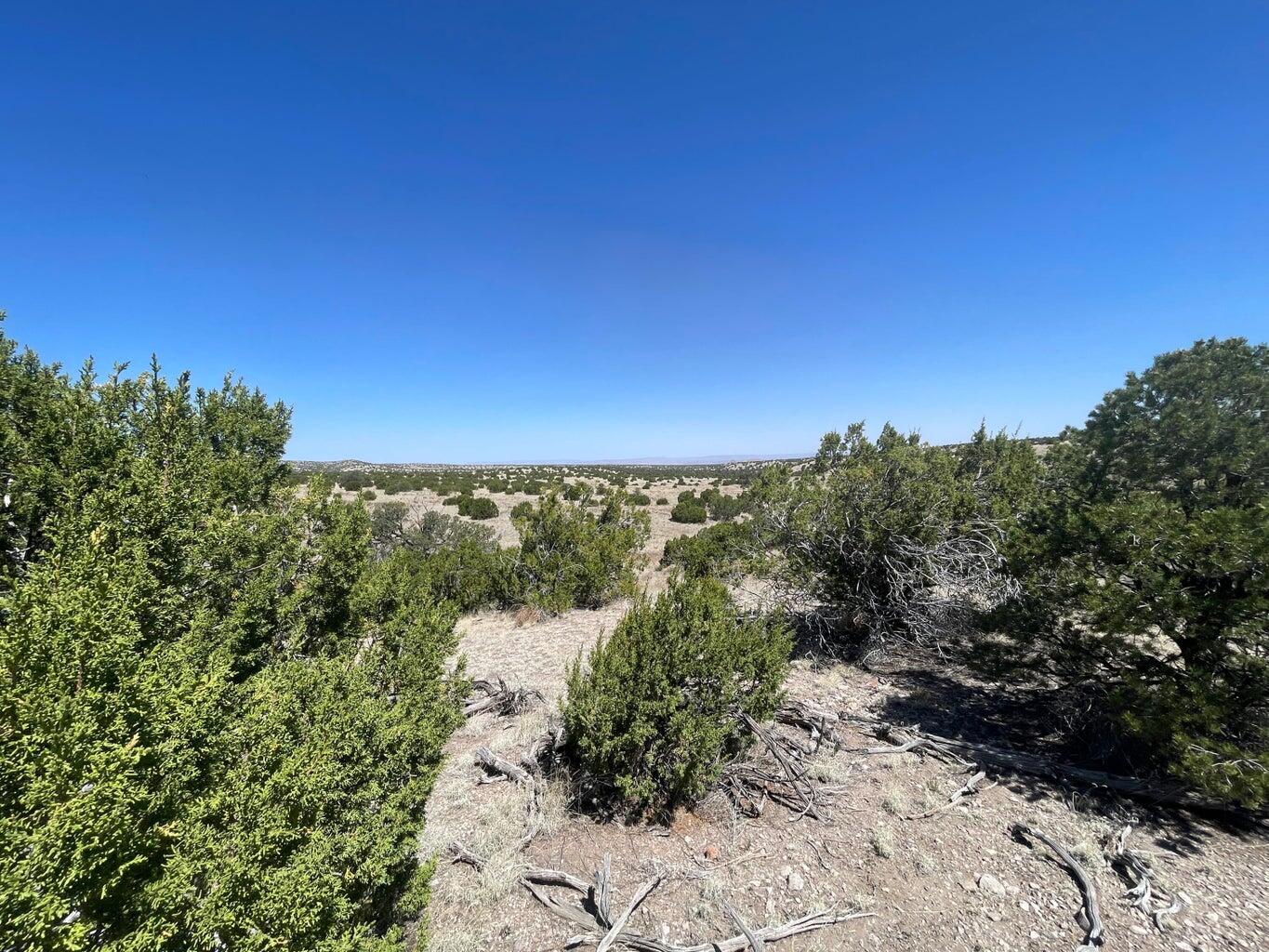Lot 55 Pinon Springs Ranch, Magdalena, New Mexico image 13