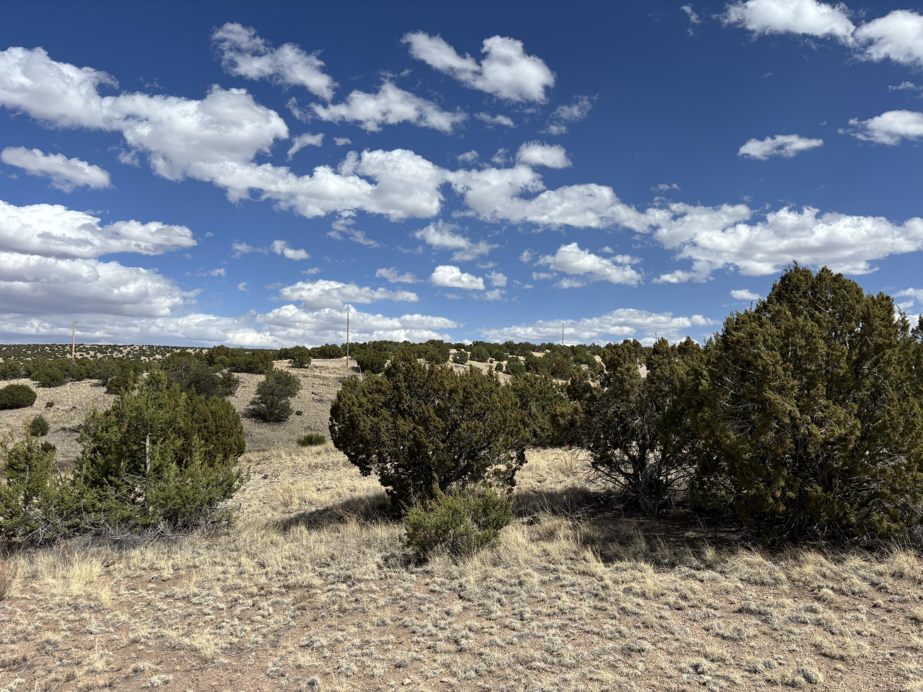 Lot 55 Pinon Springs Ranch, Magdalena, New Mexico image 8