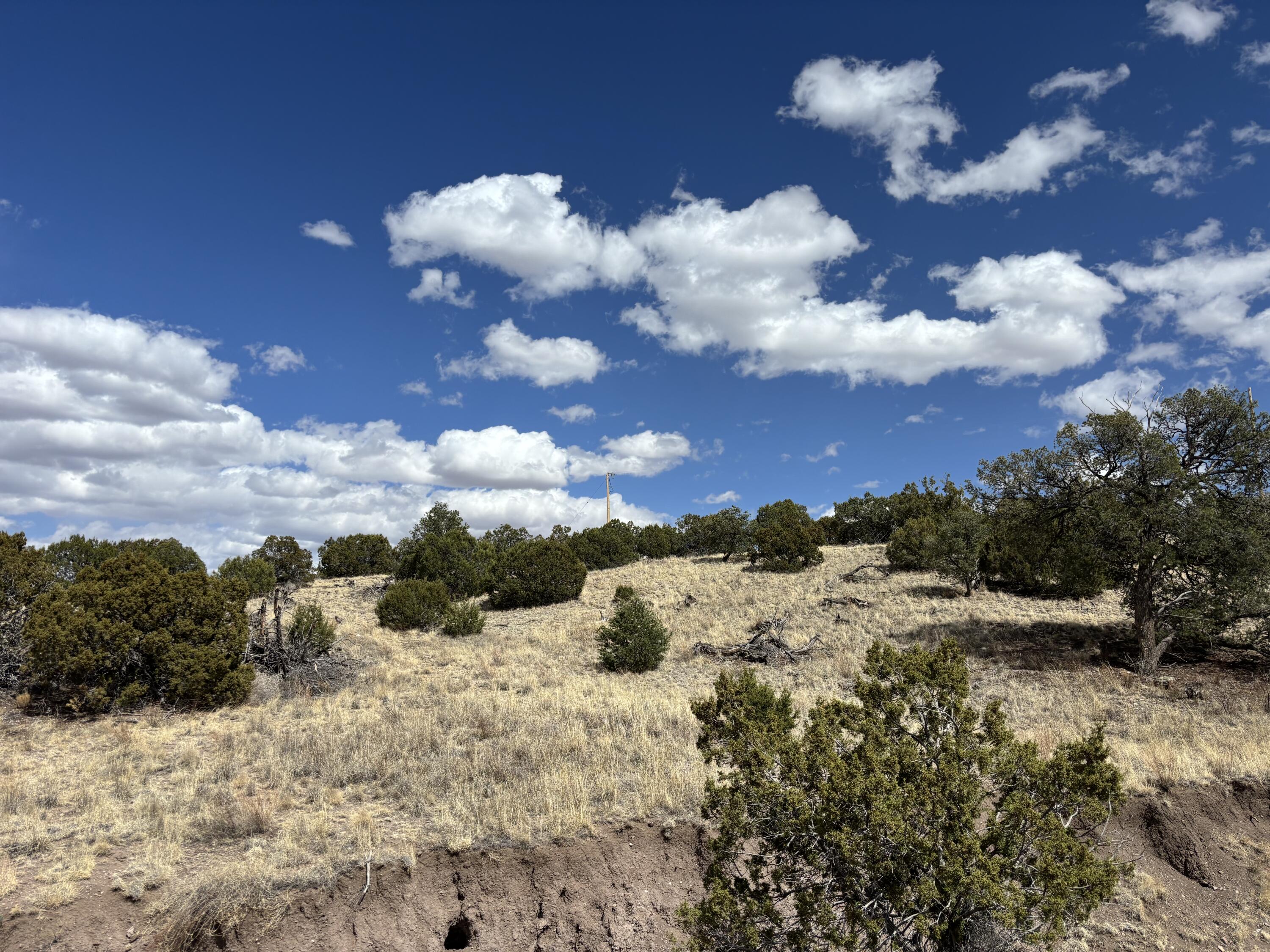 Lot 55 Pinon Springs Ranch, Magdalena, New Mexico image 6