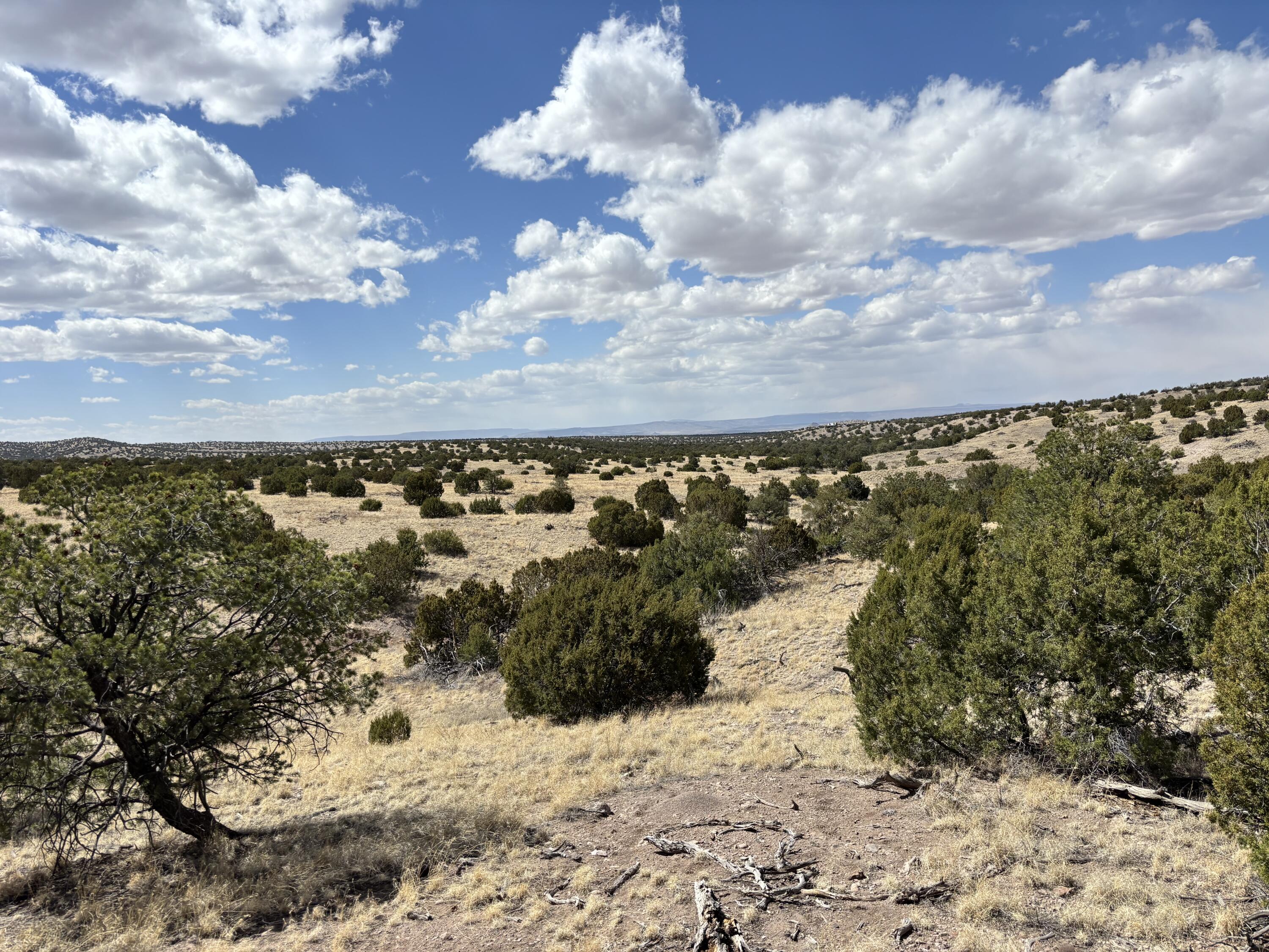 Lot 55 Pinon Springs Ranch, Magdalena, New Mexico image 16
