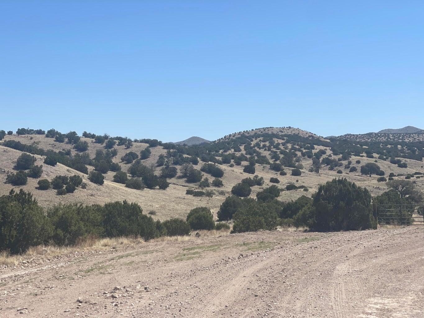 Lot 55 Pinon Springs Ranch, Magdalena, New Mexico image 18
