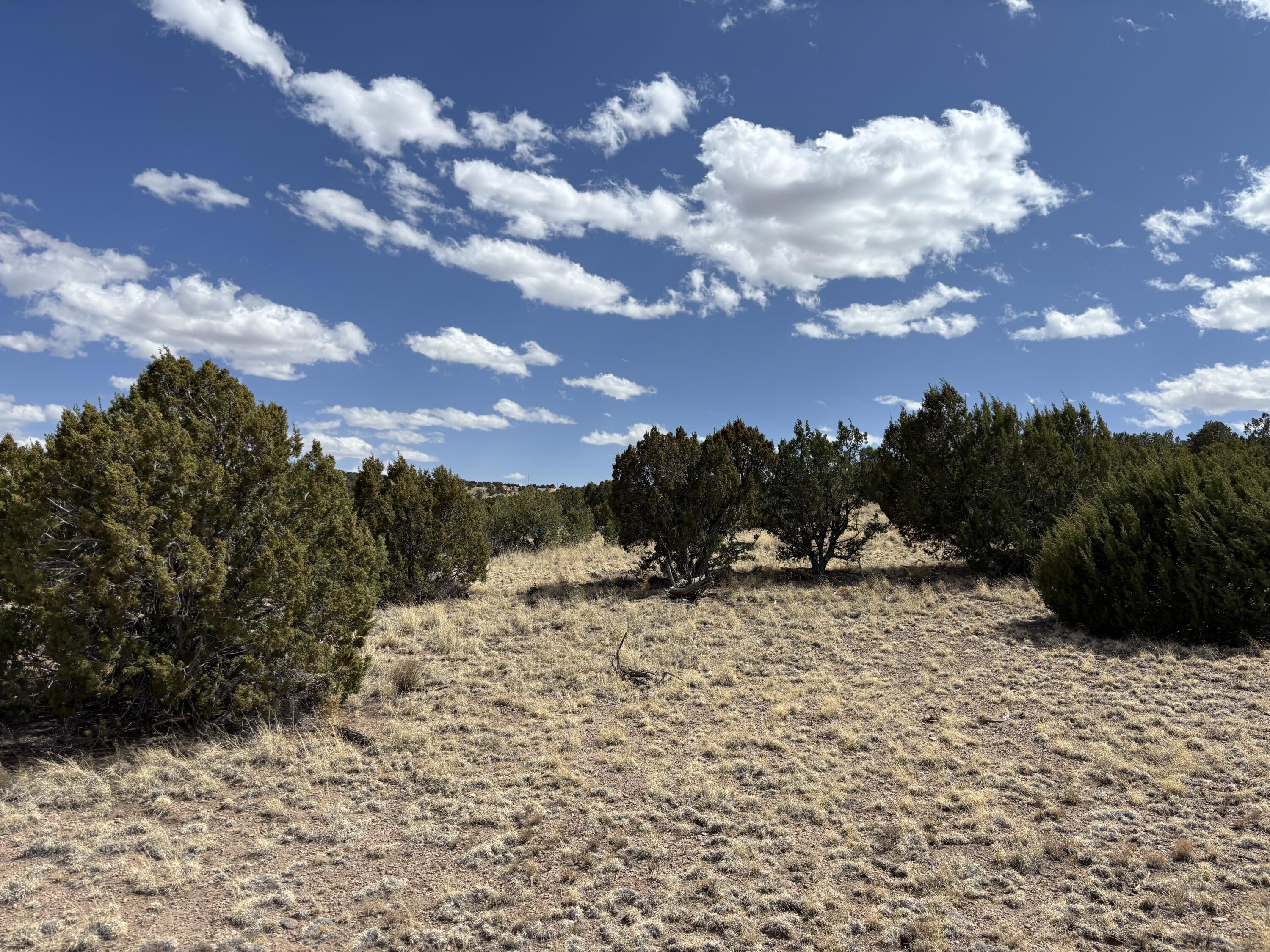 Lot 55 Pinon Springs Ranch, Magdalena, New Mexico image 9