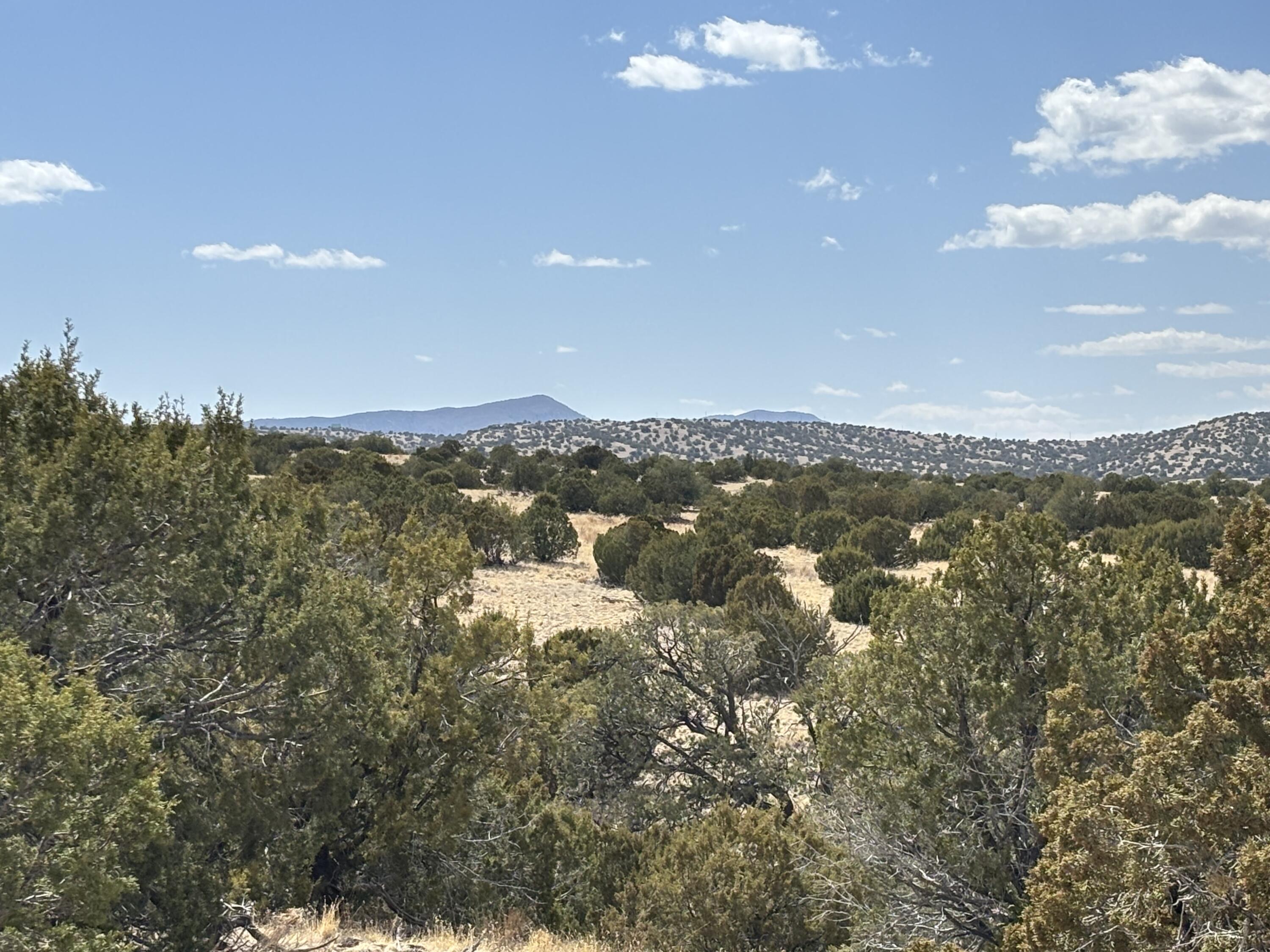 Lot 55 Pinon Springs Ranch, Magdalena, New Mexico image 1