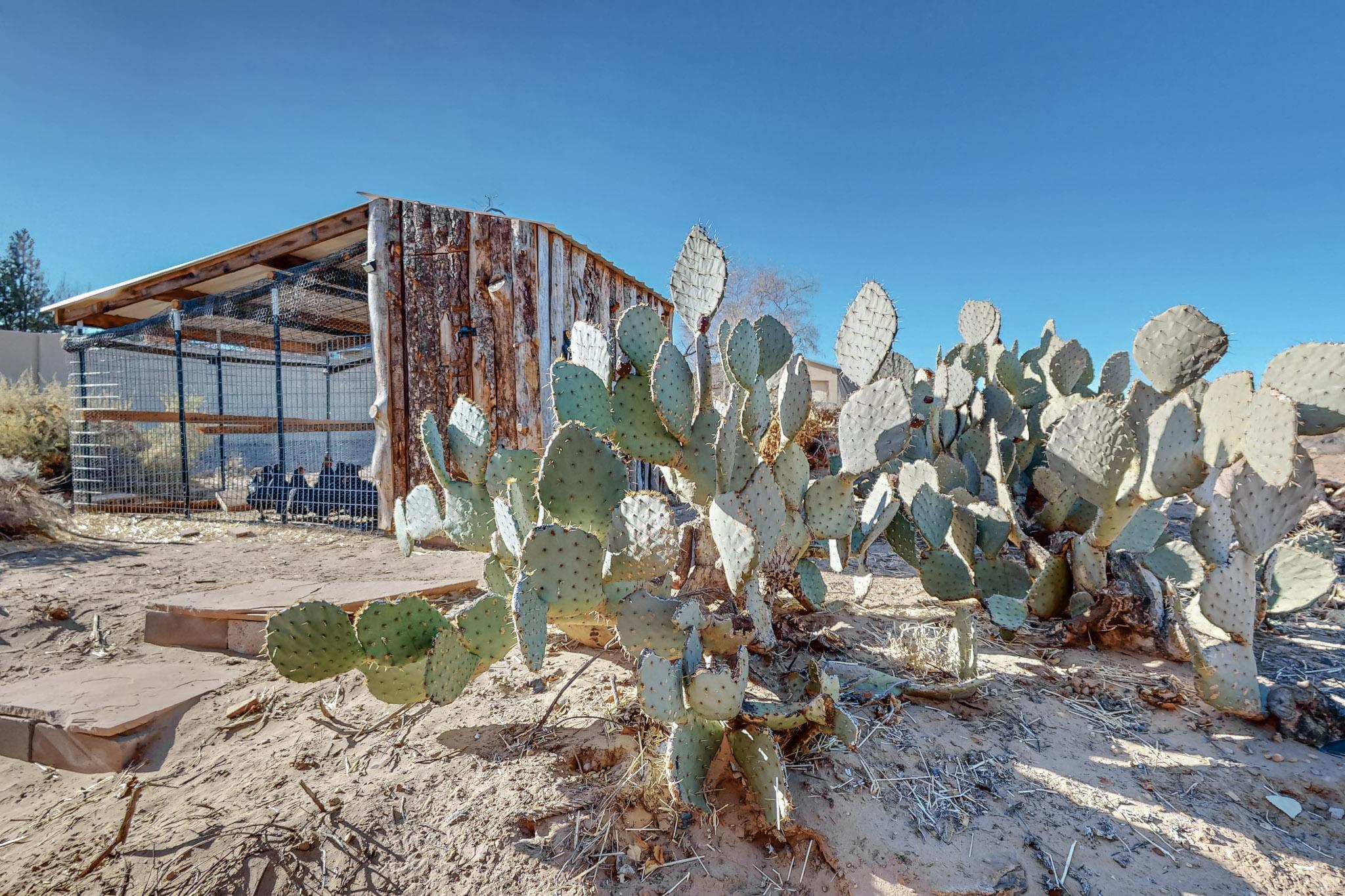 103 Jacob Court, Corrales, New Mexico image 41