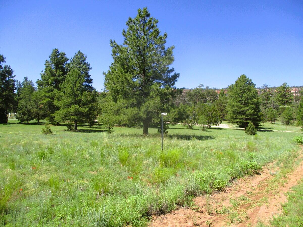 44 Sunrise Way, Ramah, New Mexico image 45