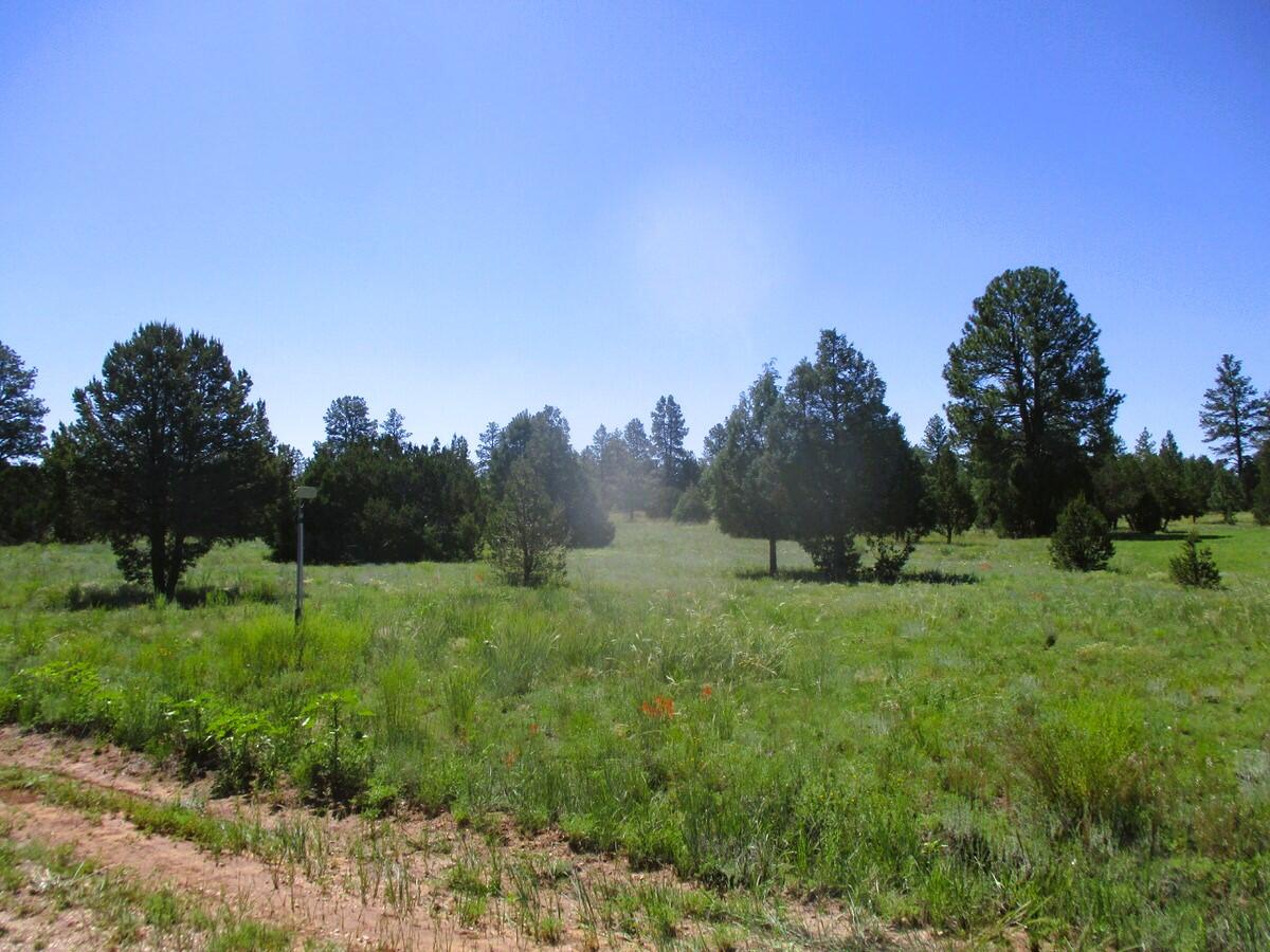 44 Sunrise Way, Ramah, New Mexico image 46