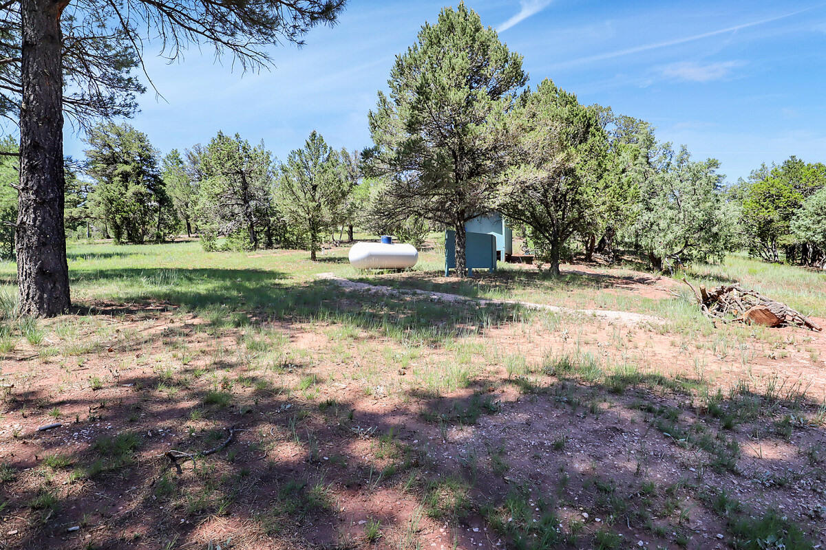 44 Sunrise Way, Ramah, New Mexico image 43