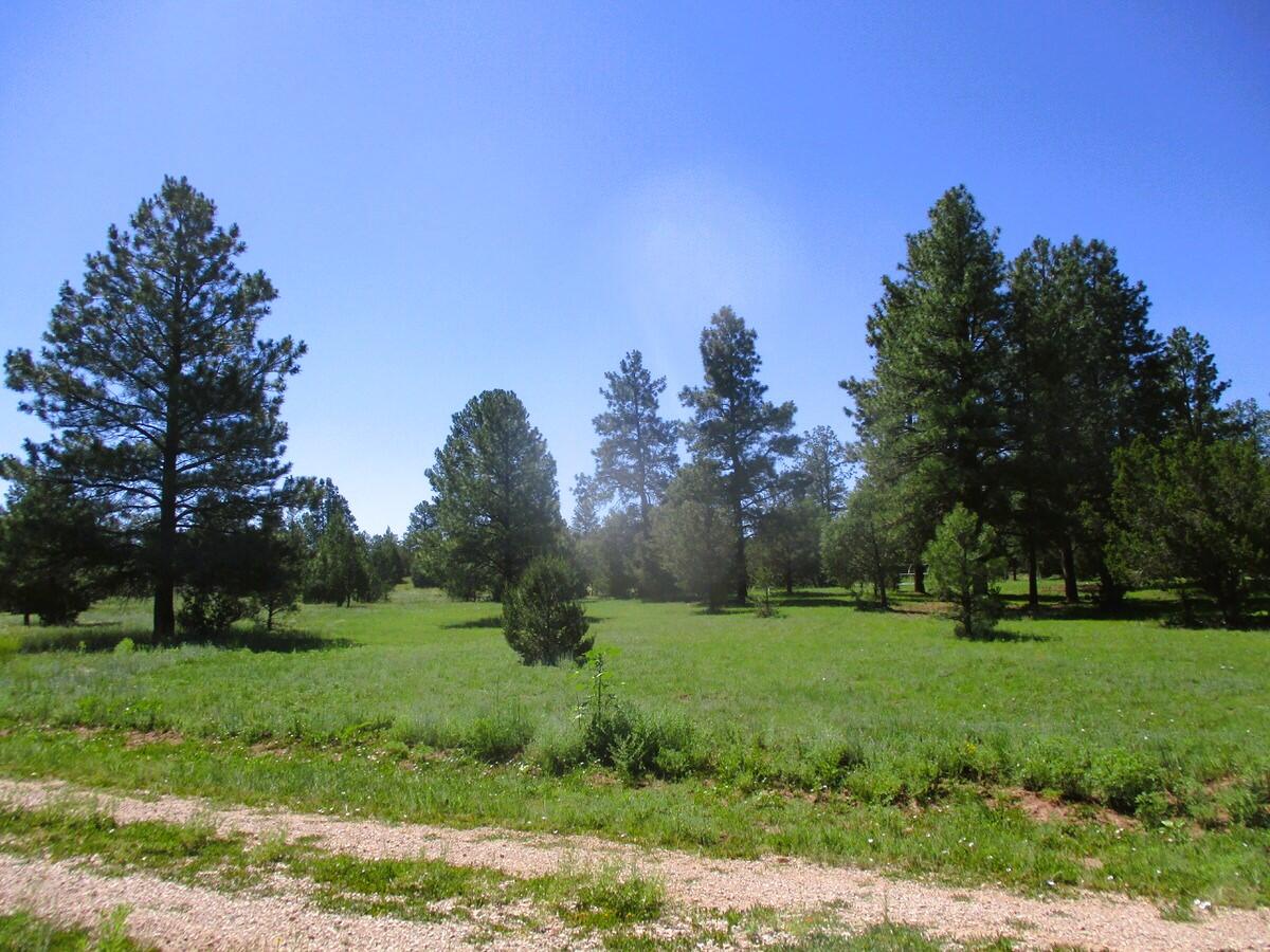 44 Sunrise Way, Ramah, New Mexico image 48