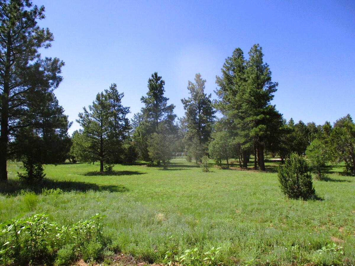 44 Sunrise Way, Ramah, New Mexico image 47