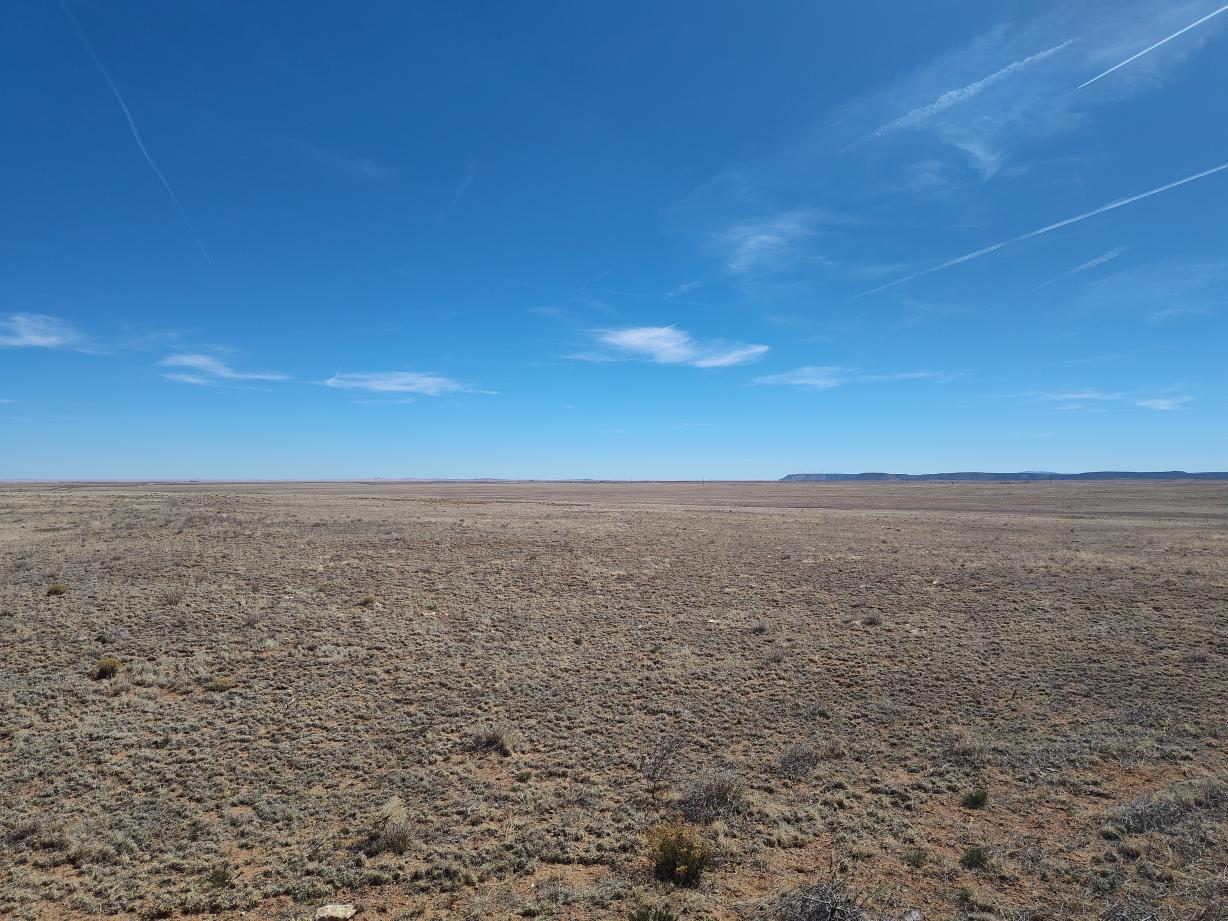 Tracts 1&2 Old Willard Road