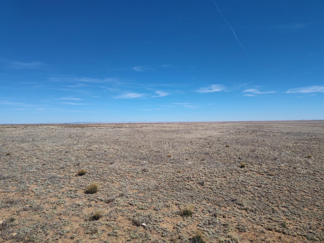 Tracts 1&2 Old Willard Road