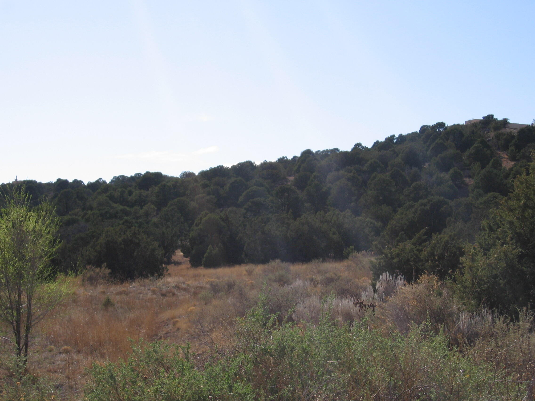 Meadowland Subdivision, Tijeras, New Mexico image 13