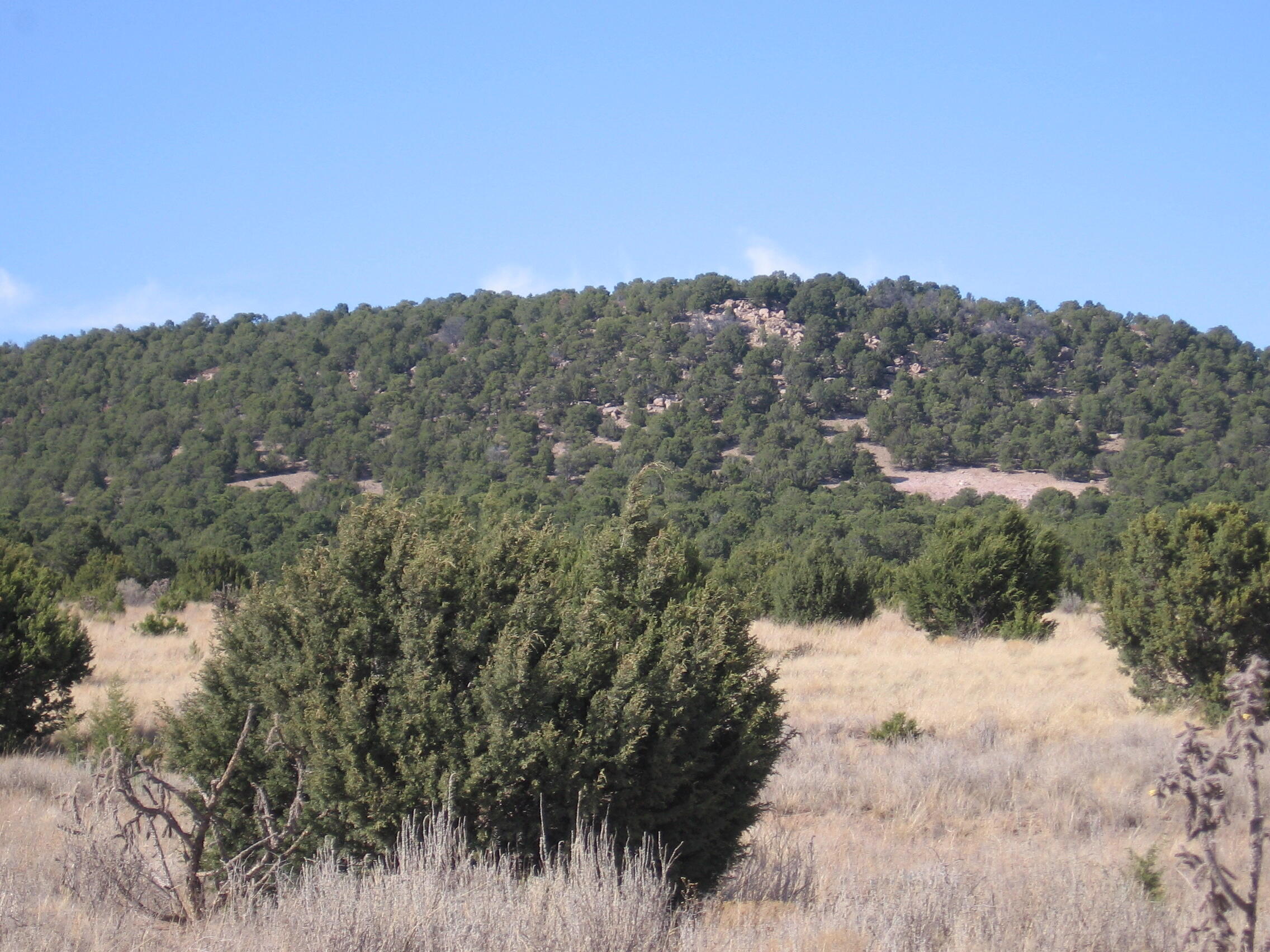 Meadowland Subdivision, Tijeras, New Mexico image 8