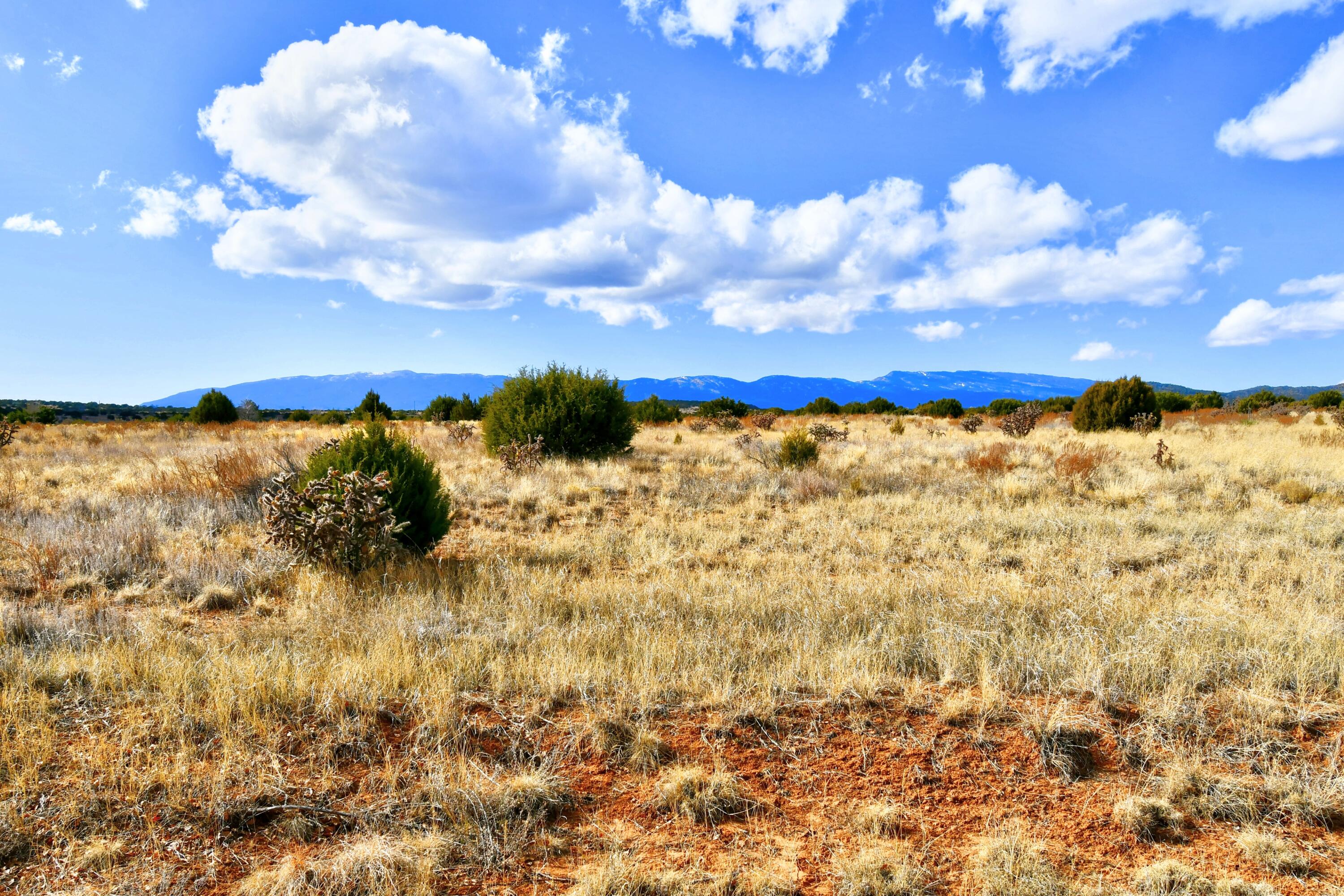 2 Entranosa Court, Edgewood, New Mexico image 7