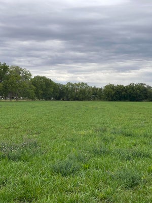 E OF ARMIJO ROAD, BELEN, NM 87002 - Image 23595ade702c8a8e4426fe6cd0b890c3/655650181