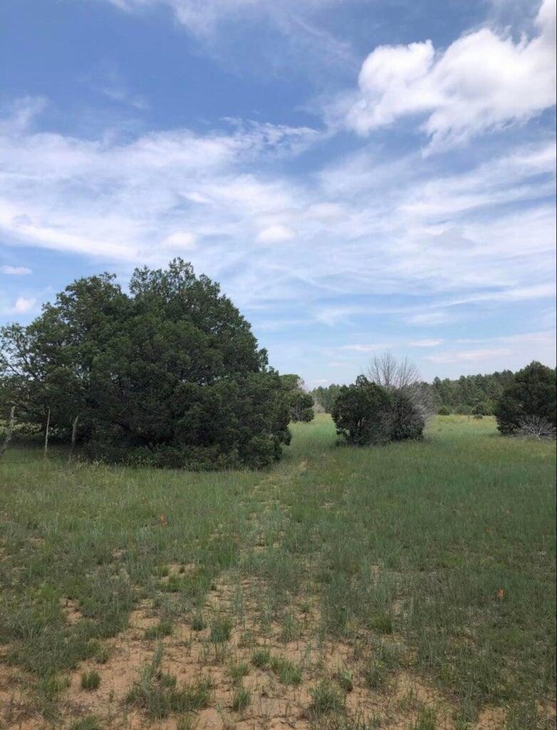 22 Candelaria Road, Tijeras, New Mexico image 3