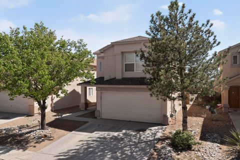 8920 Blue Meadow Trail SW Albuquerque NM 87121