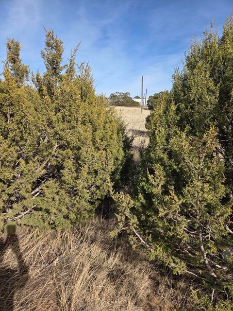 Photo of 10 Glacier Trail, Edgewood, NM 87015 (MLS # 1099190)