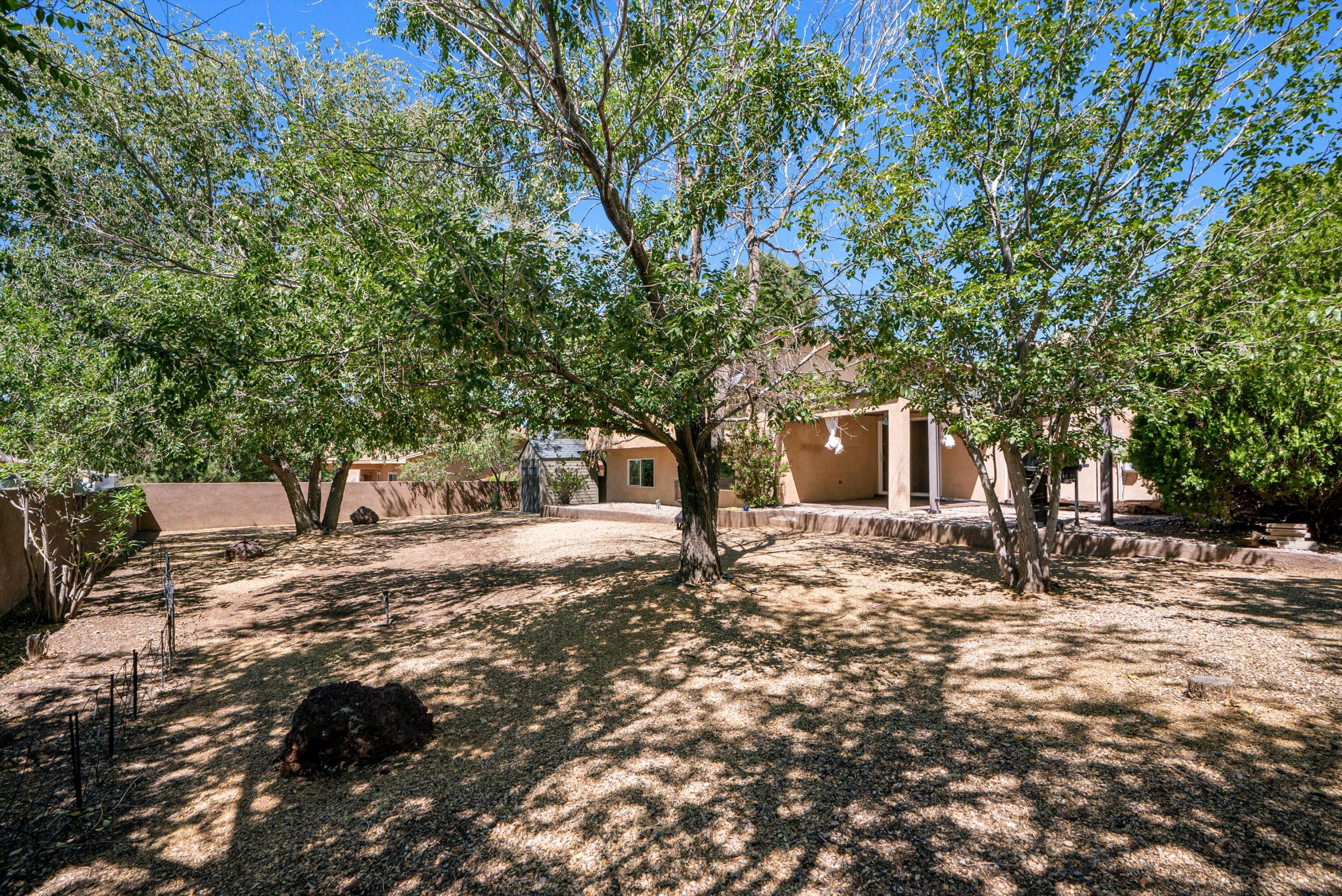 14116 La Cueva Avenue, Albuquerque, New Mexico image 6