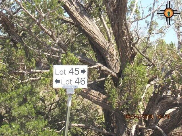 45 Bull Canyon Loop