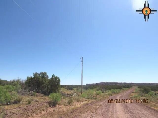 45 Bull Canyon Loop