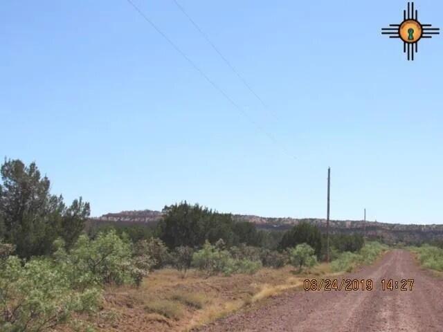 45 Bull Canyon Loop