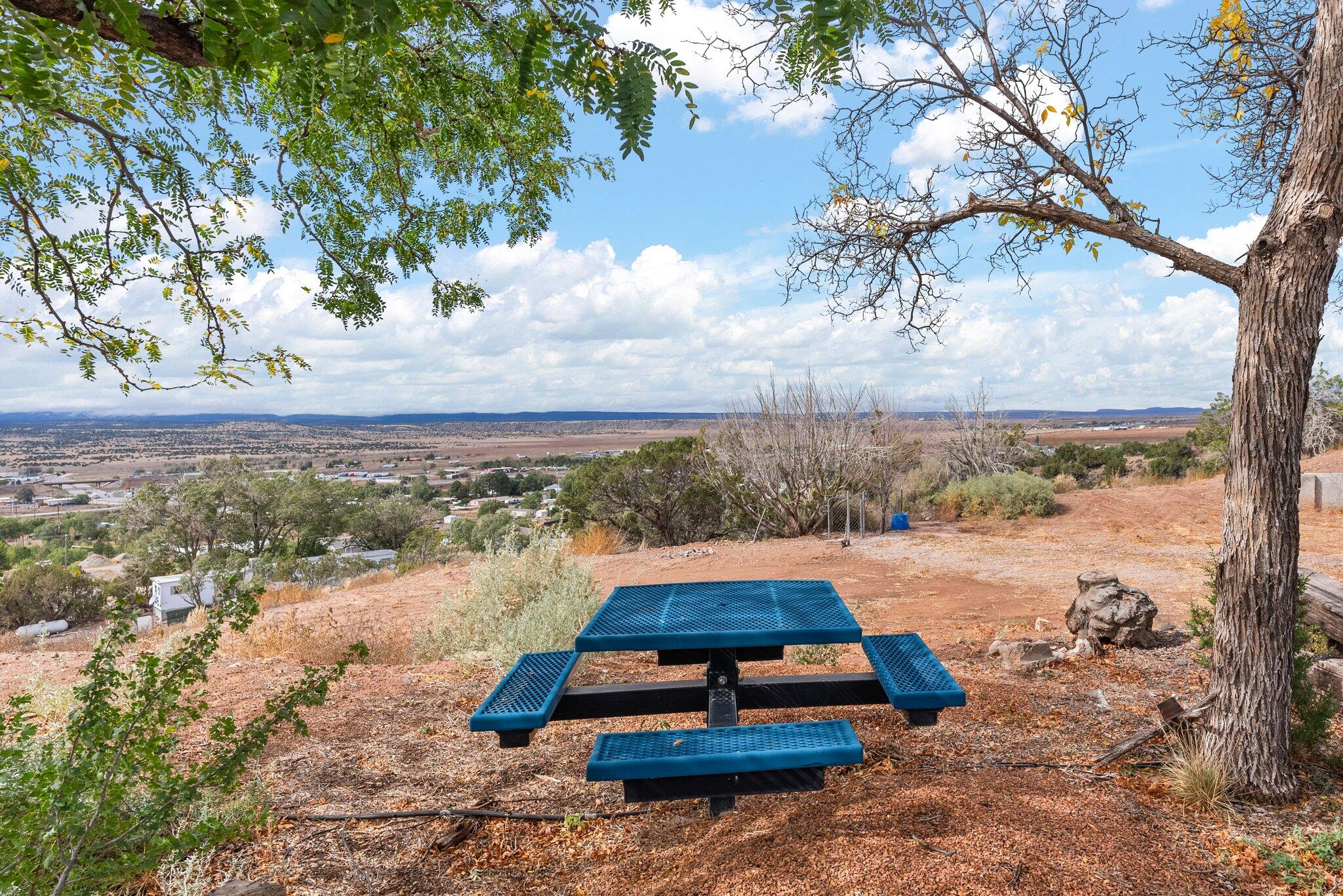 515 Haystack Place, Milan, New Mexico image 9