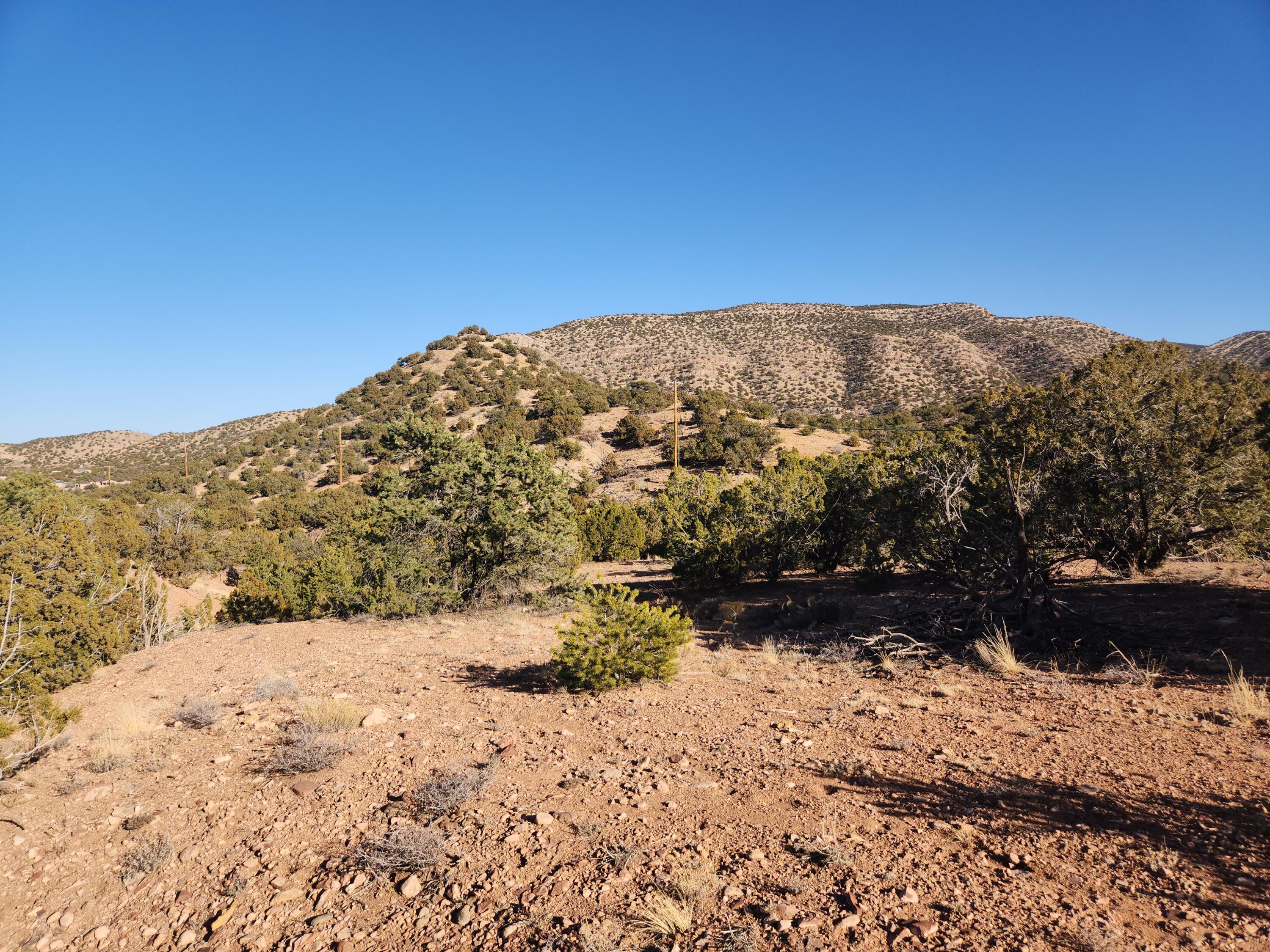 25 Camino Del Tecolote, Placitas, New Mexico image 26