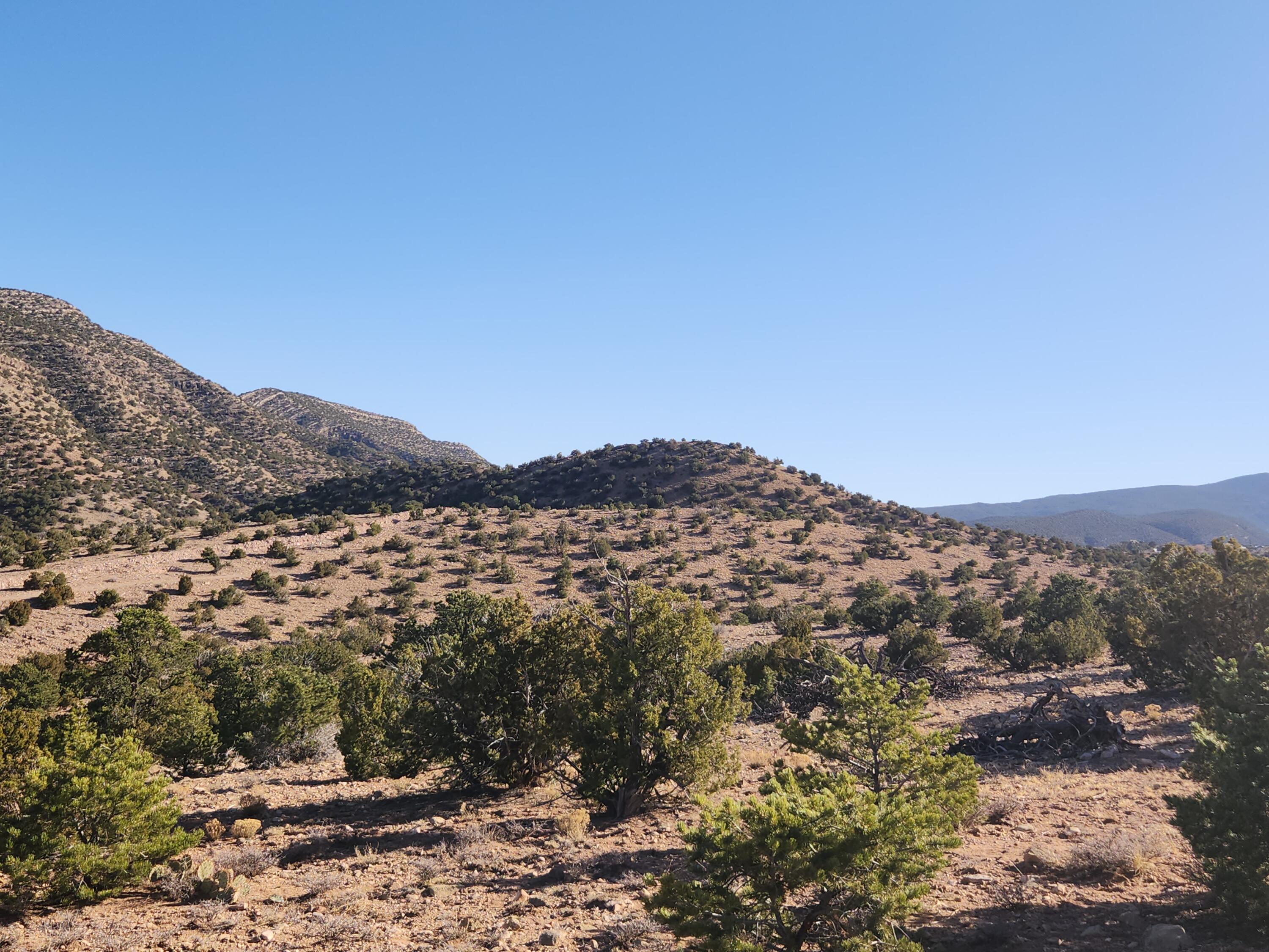 25 Camino Del Tecolote, Placitas, New Mexico image 15