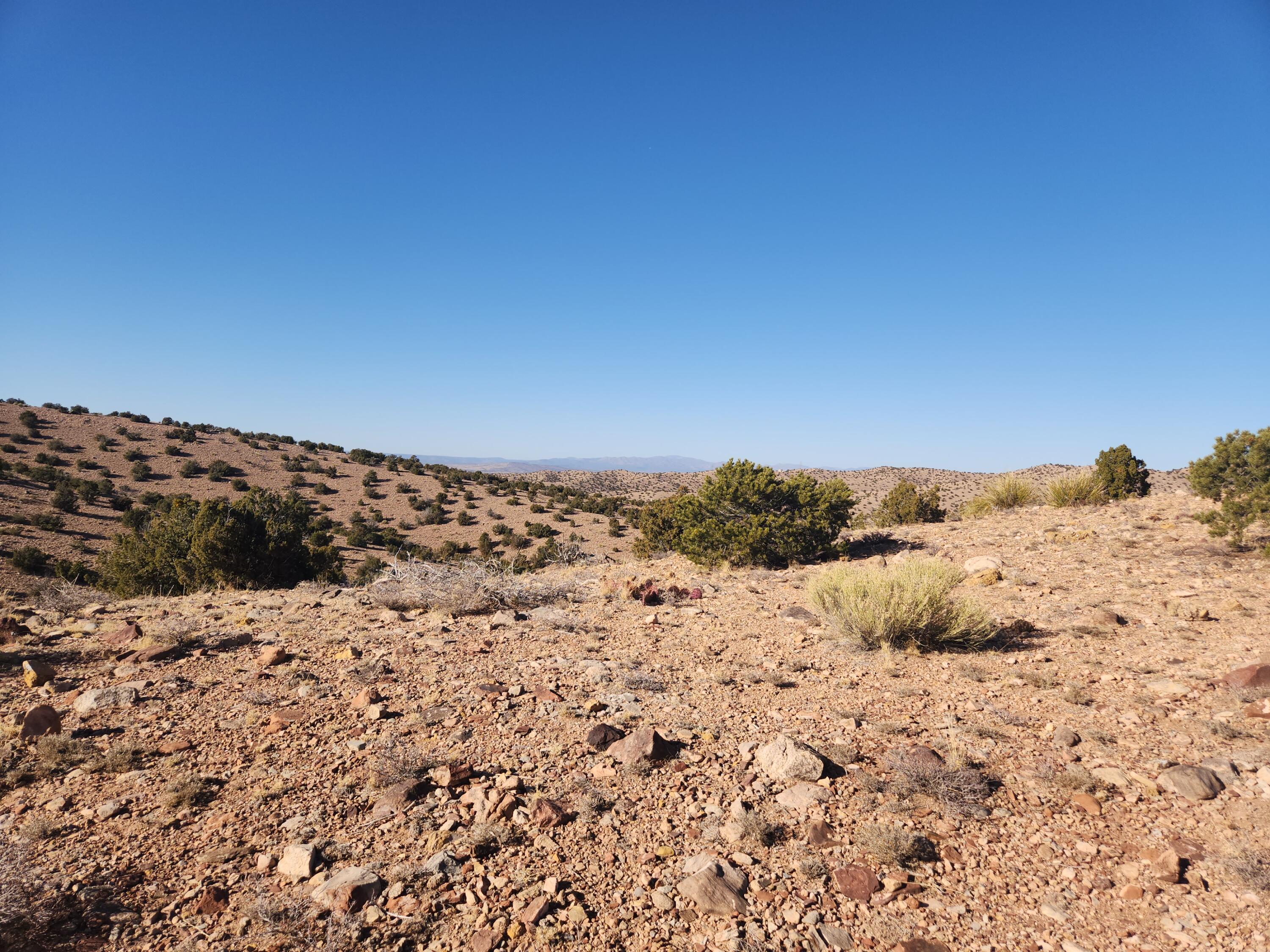 25 Camino Del Tecolote, Placitas, New Mexico image 20