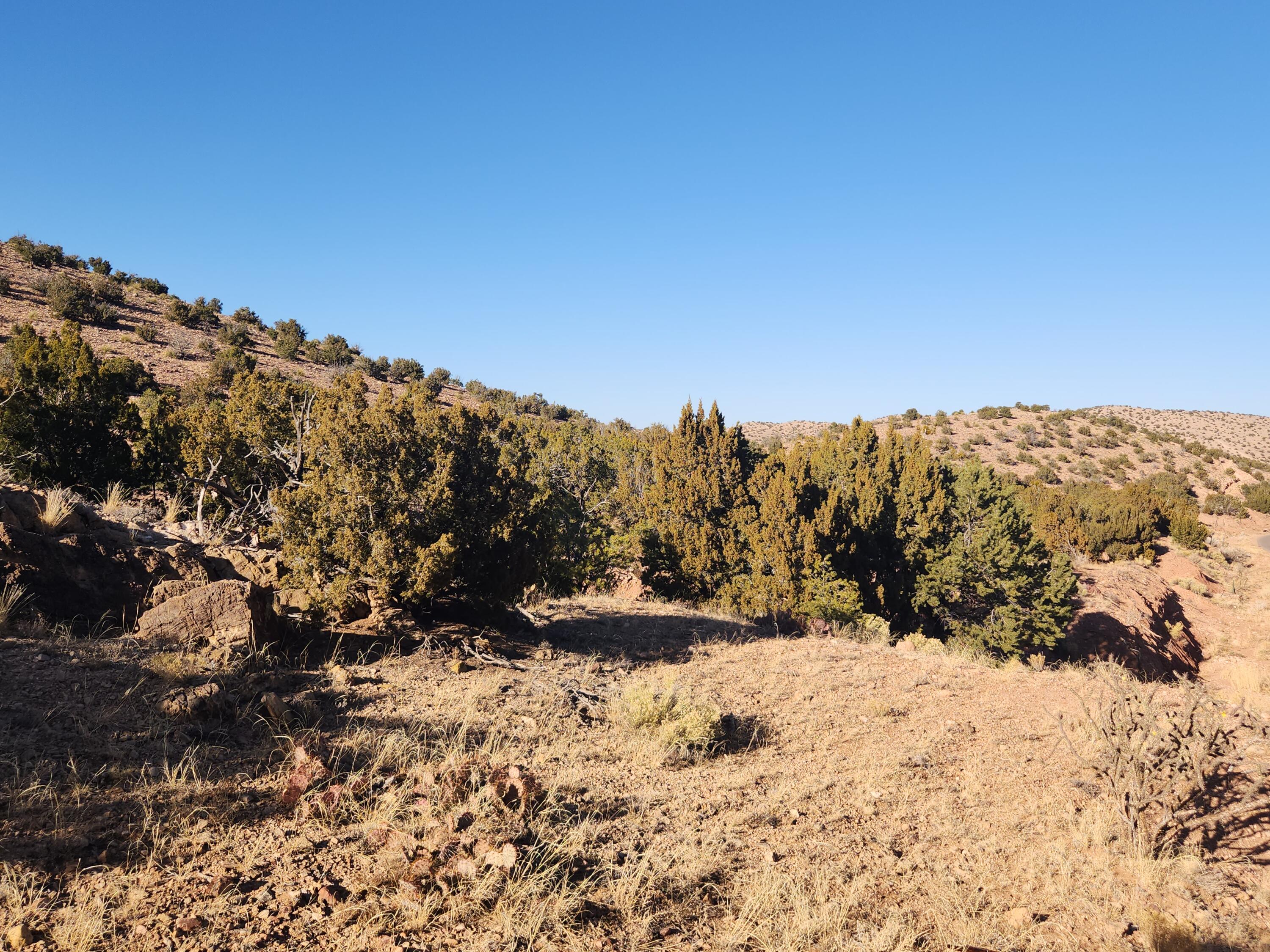 25 Camino Del Tecolote, Placitas, New Mexico image 27
