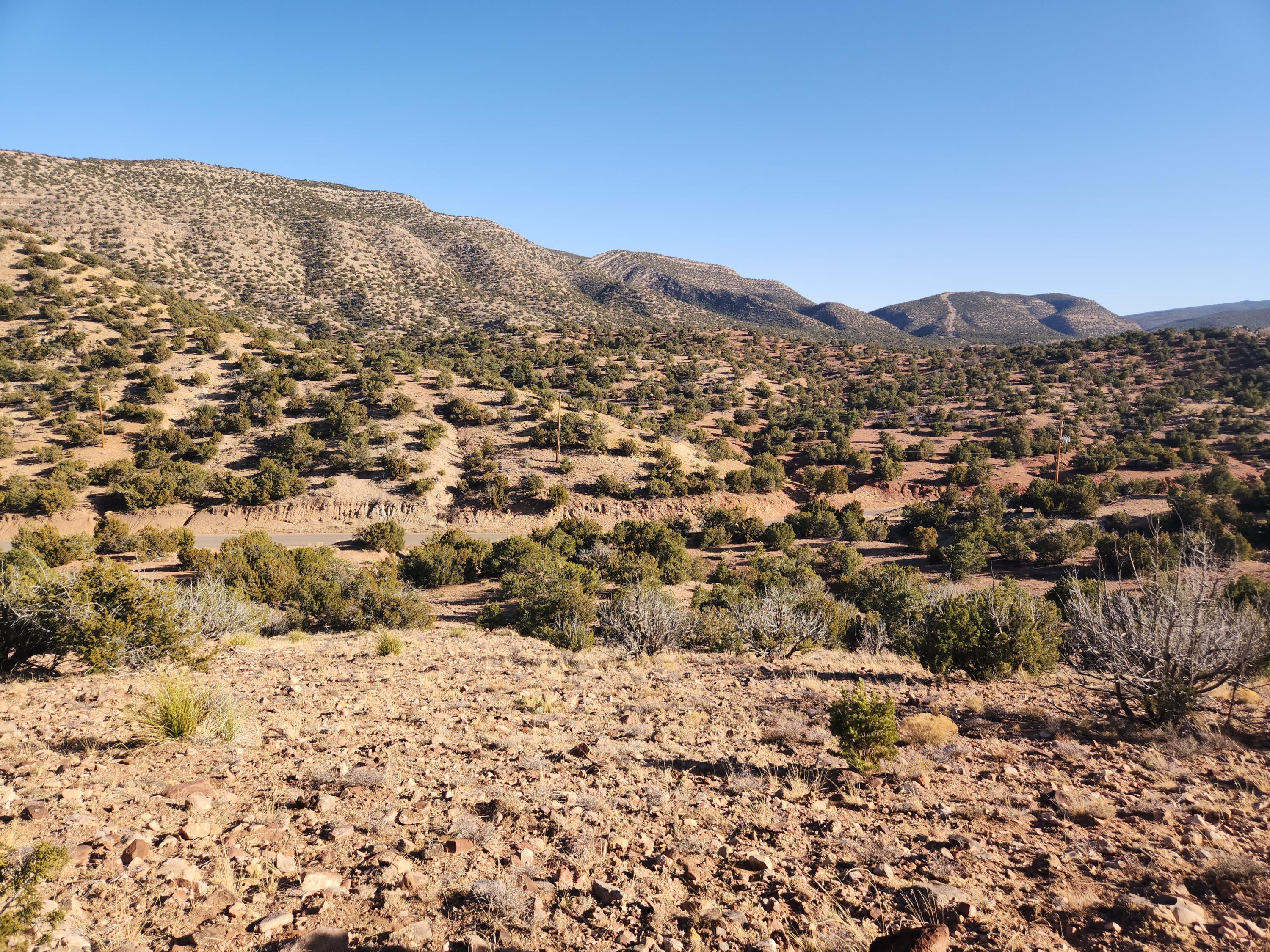 25 Camino Del Tecolote, Placitas, New Mexico image 25