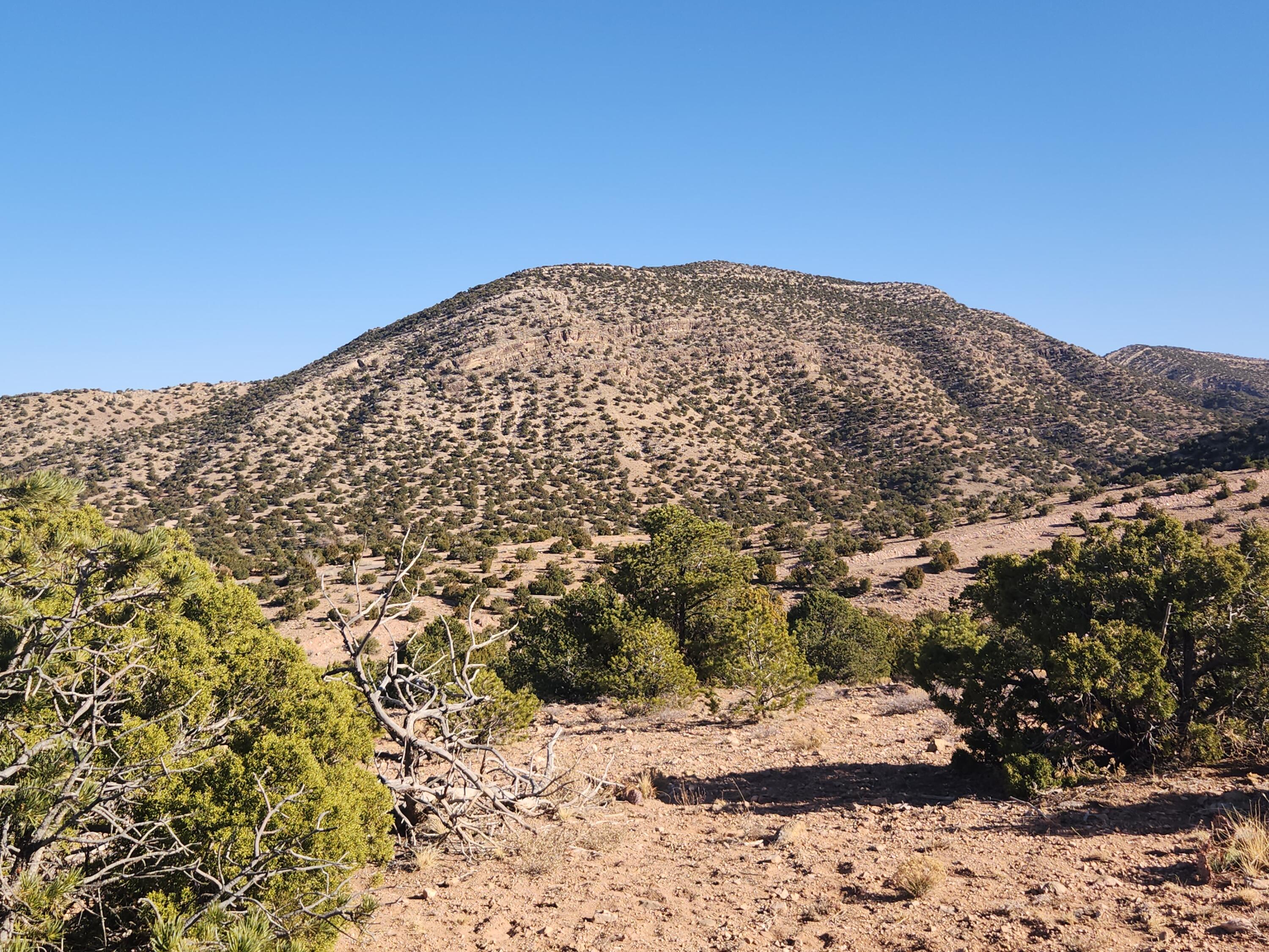 25 Camino Del Tecolote, Placitas, New Mexico image 13