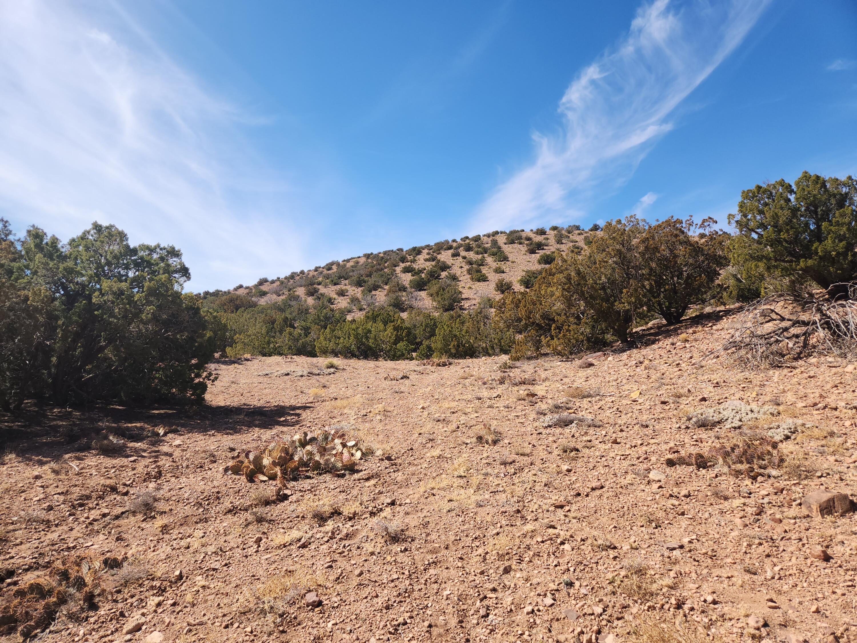 25 Camino Del Tecolote, Placitas, New Mexico image 10