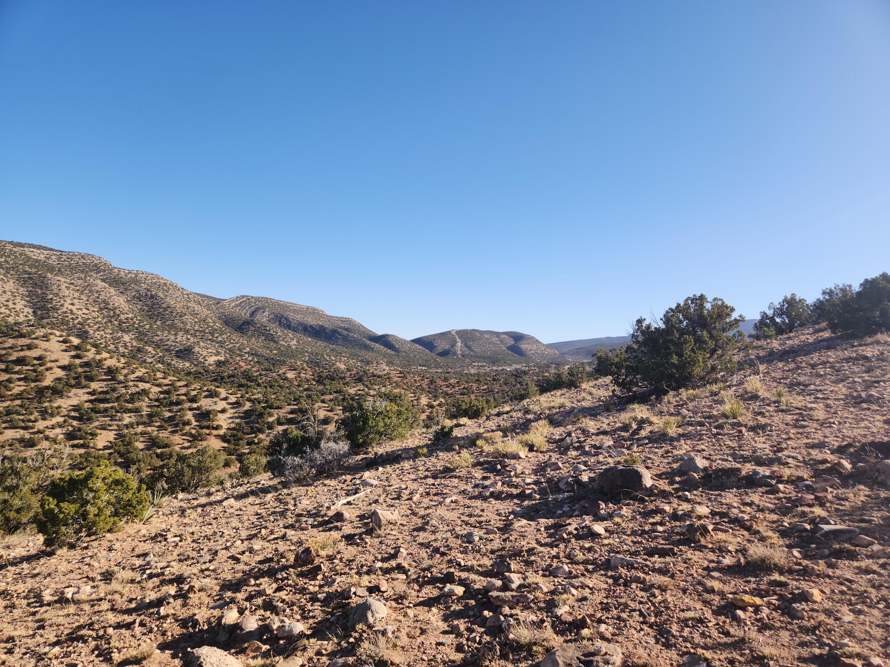 25 Camino Del Tecolote, Placitas, New Mexico image 22