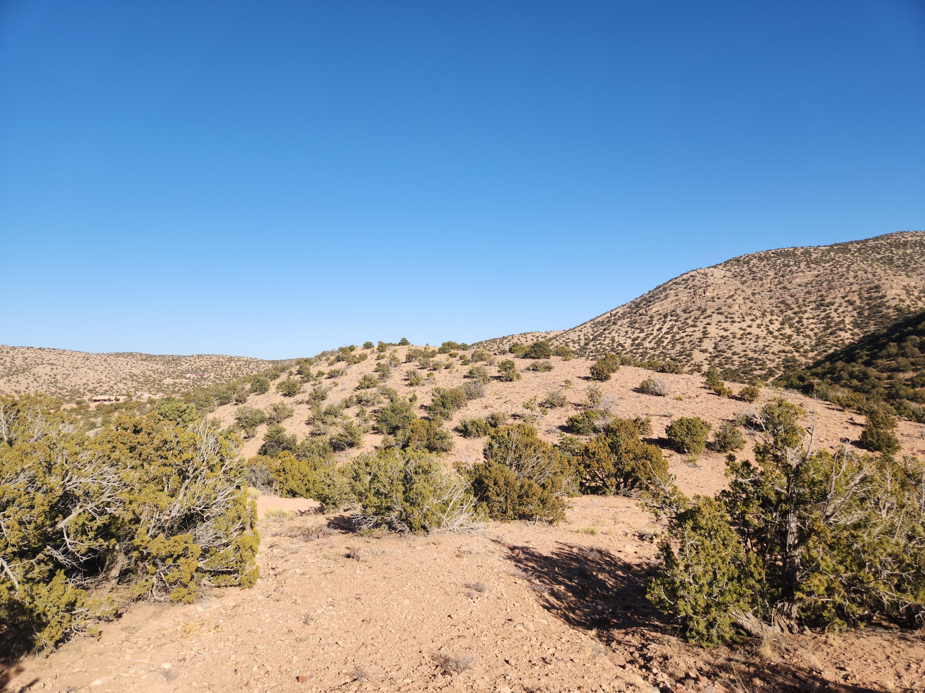 25 Camino Del Tecolote, Placitas, New Mexico image 5