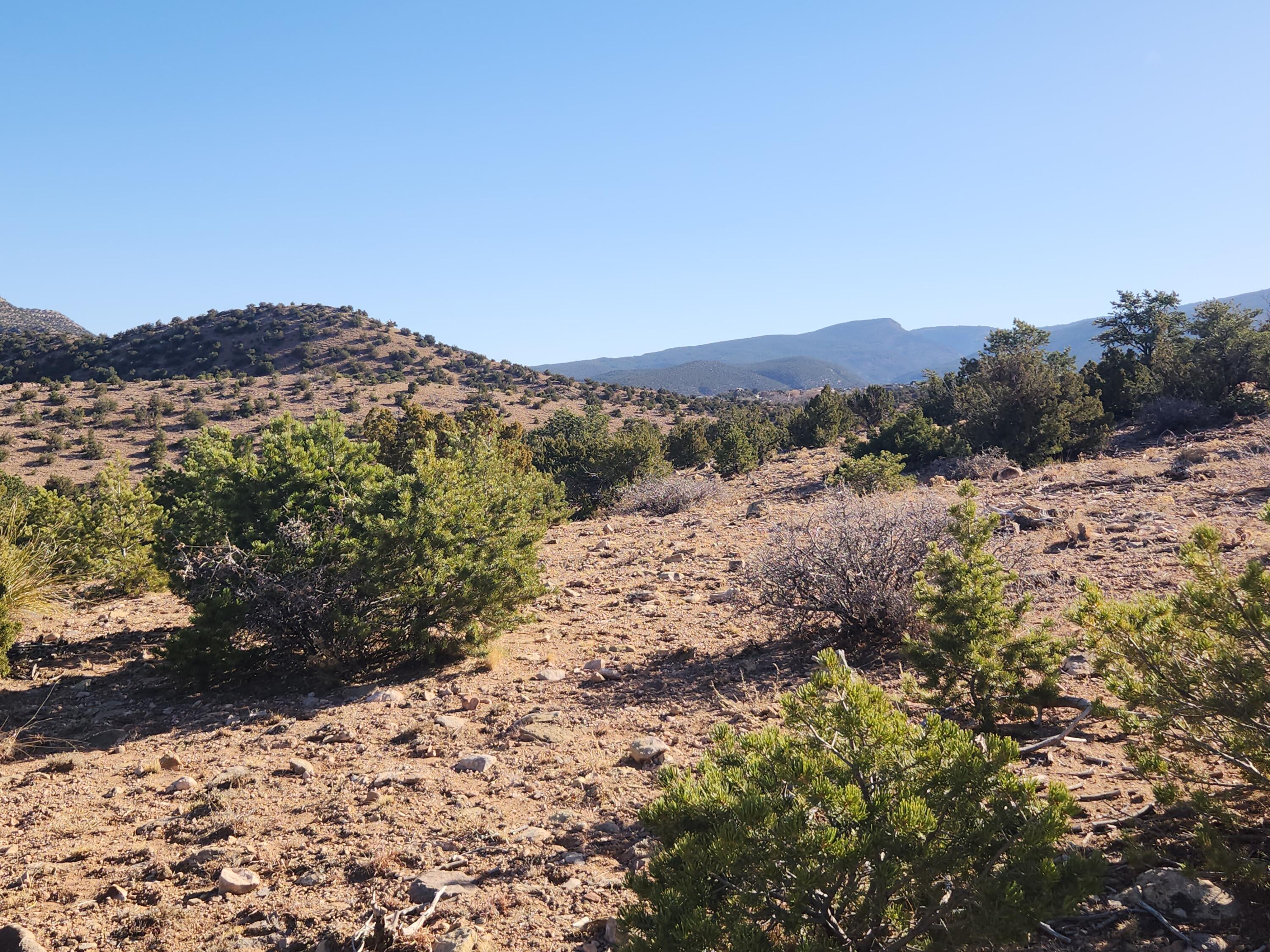 25 Camino Del Tecolote, Placitas, New Mexico image 14