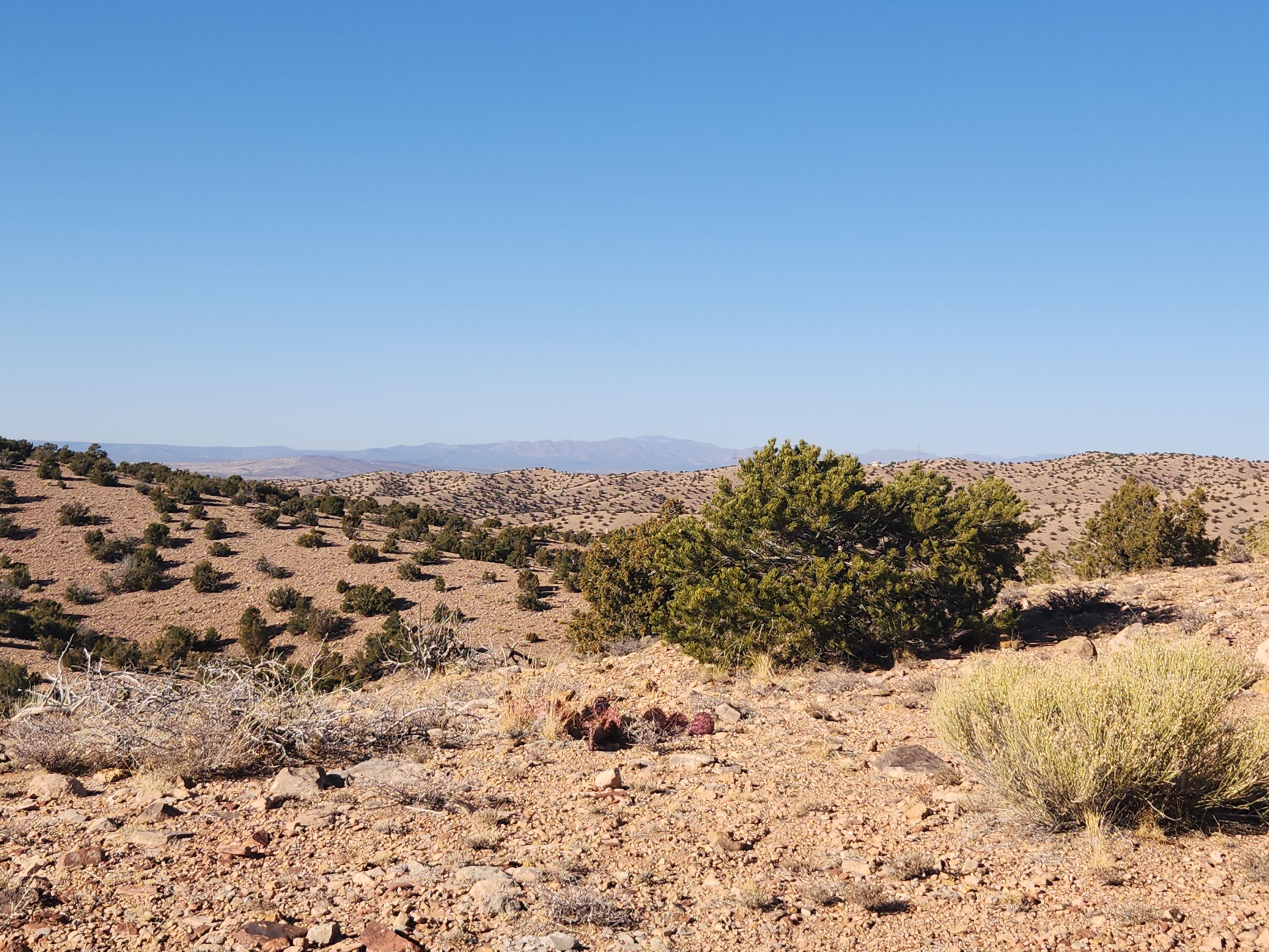 25 Camino Del Tecolote, Placitas, New Mexico image 8