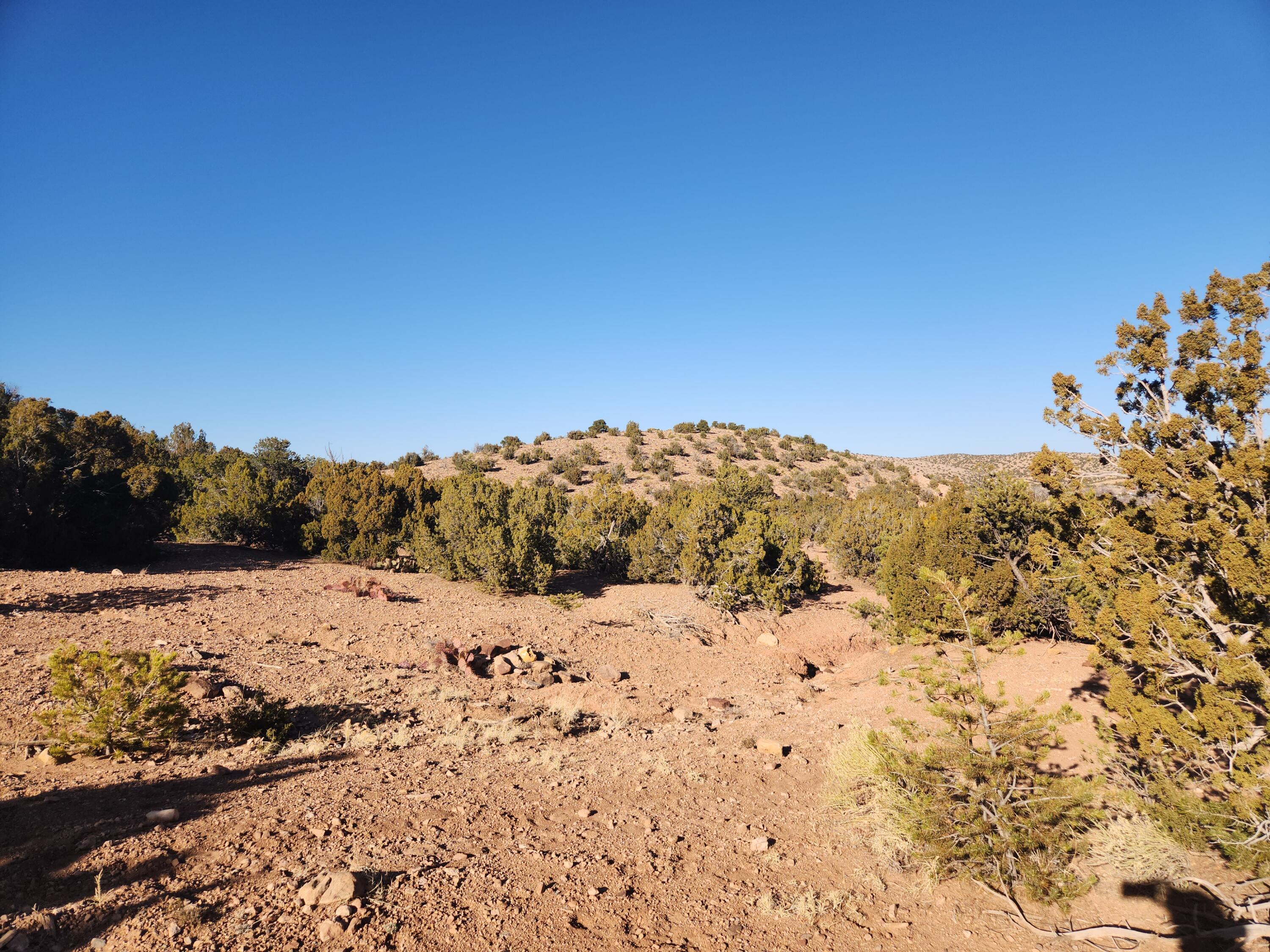 25 Camino Del Tecolote, Placitas, New Mexico image 28